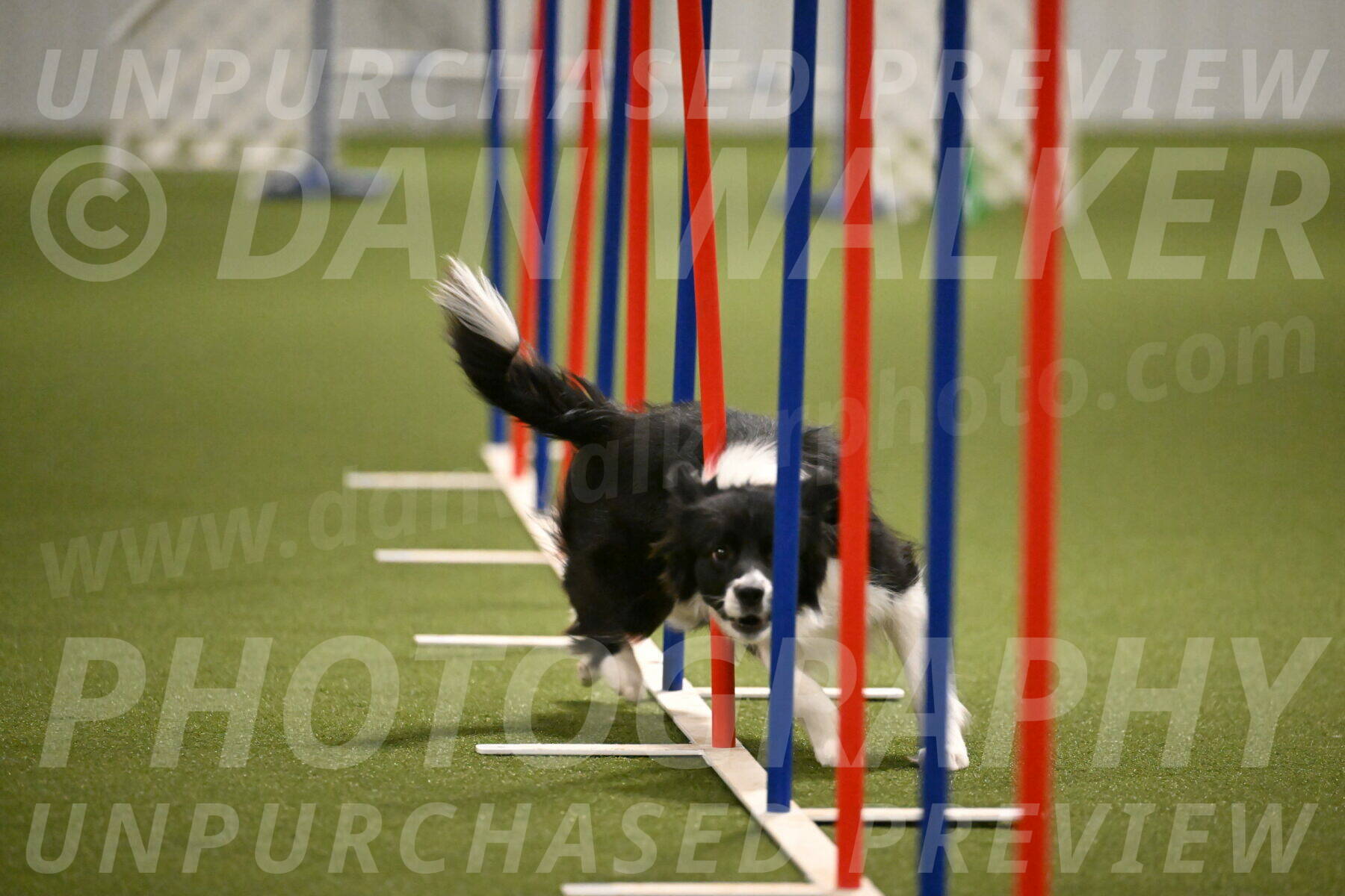 Esme-Samantha-Yanchik-00962