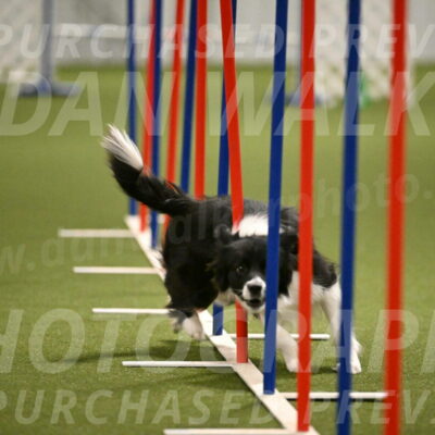 Esme-Samantha-Yanchik-00962