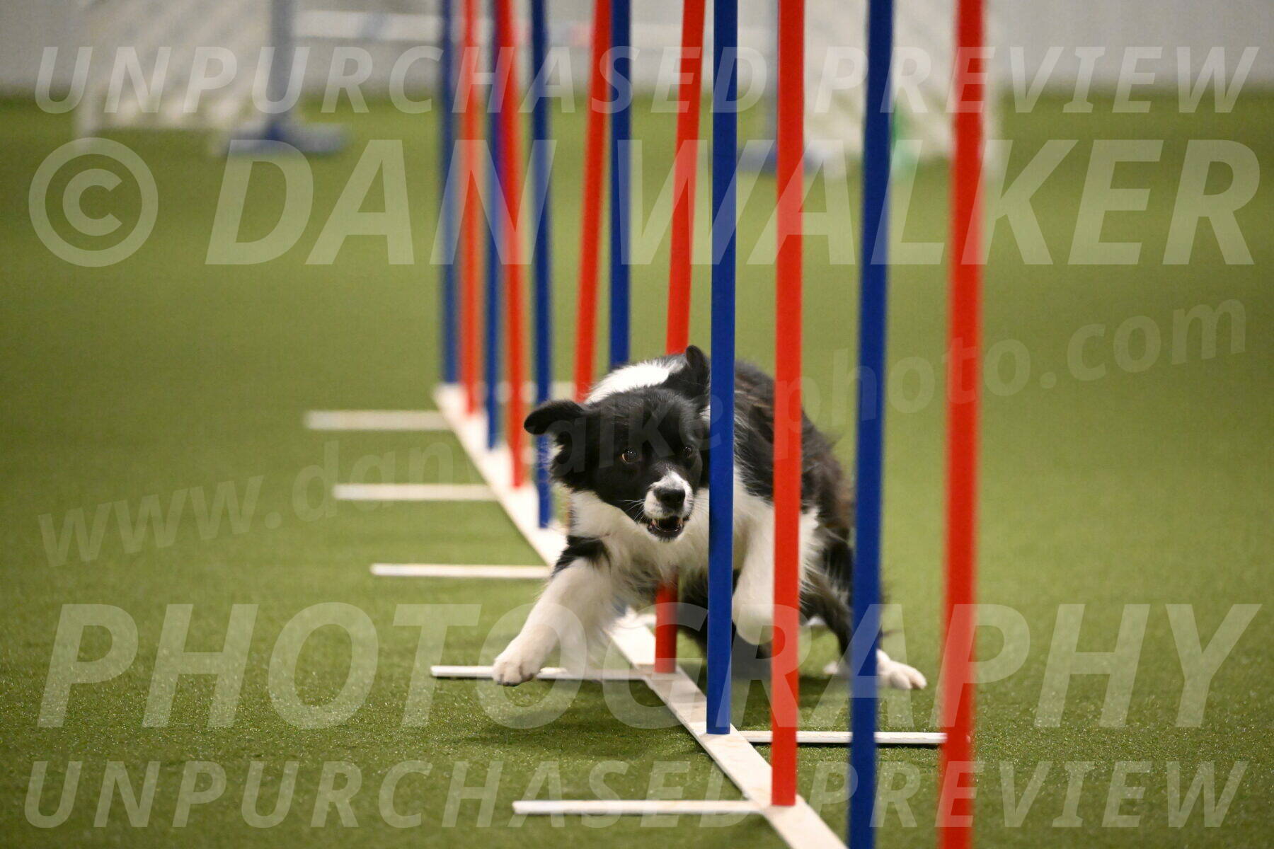 Esme-Samantha-Yanchik-00963