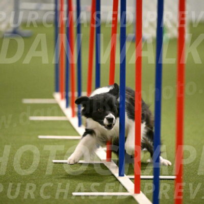 Esme-Samantha-Yanchik-00963