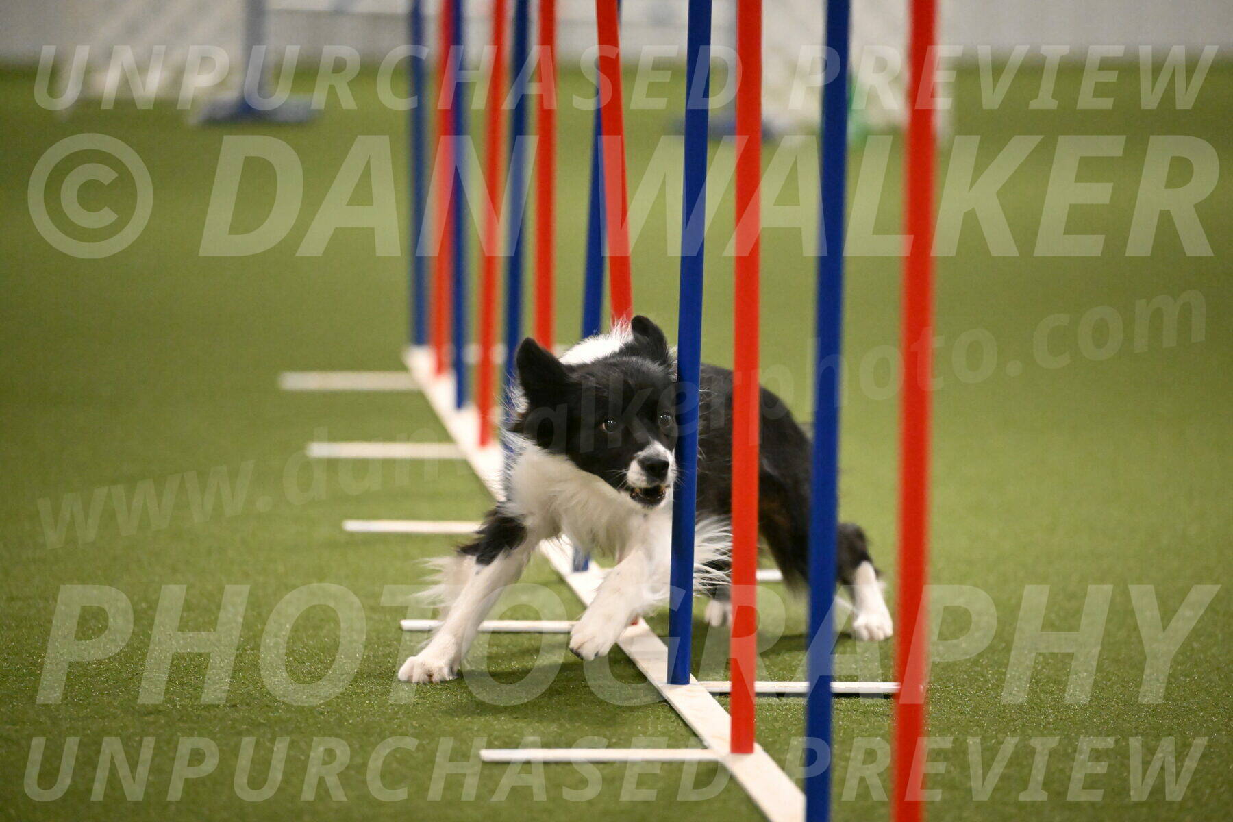 Esme-Samantha-Yanchik-00964