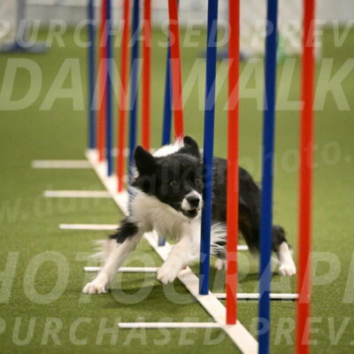 Esme-Samantha-Yanchik-00964