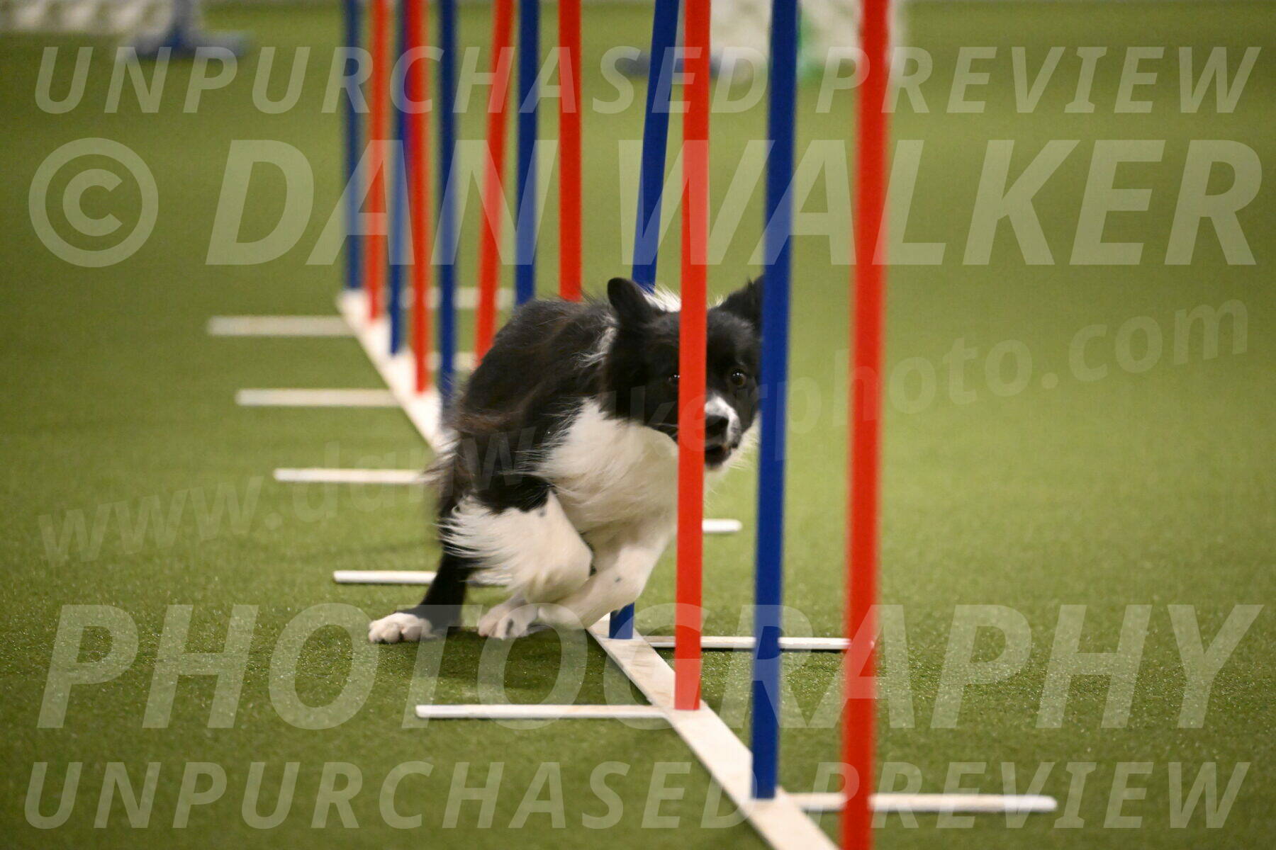 Esme-Samantha-Yanchik-00965