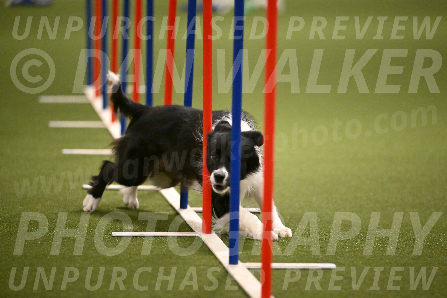 Esme-Samantha-Yanchik-00966