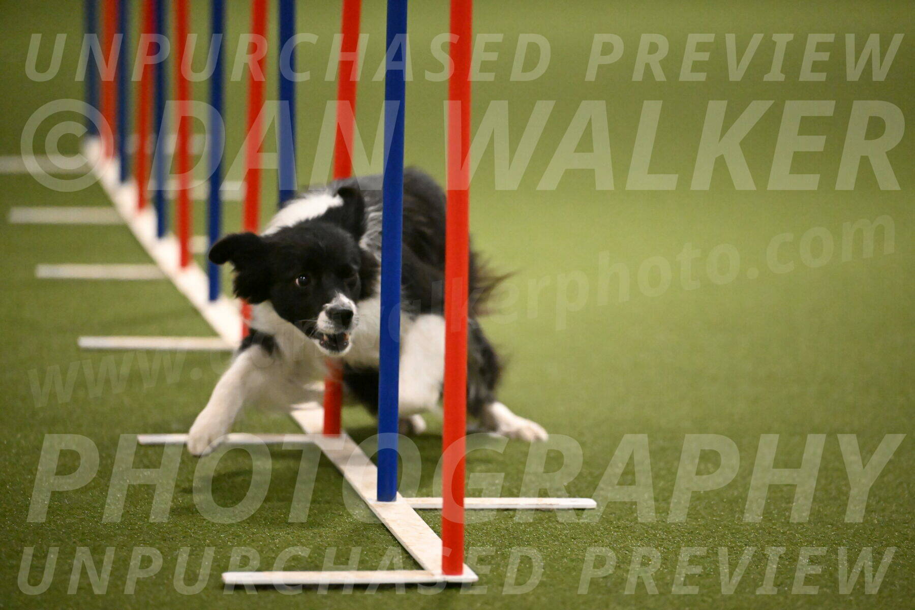 Esme-Samantha-Yanchik-00967