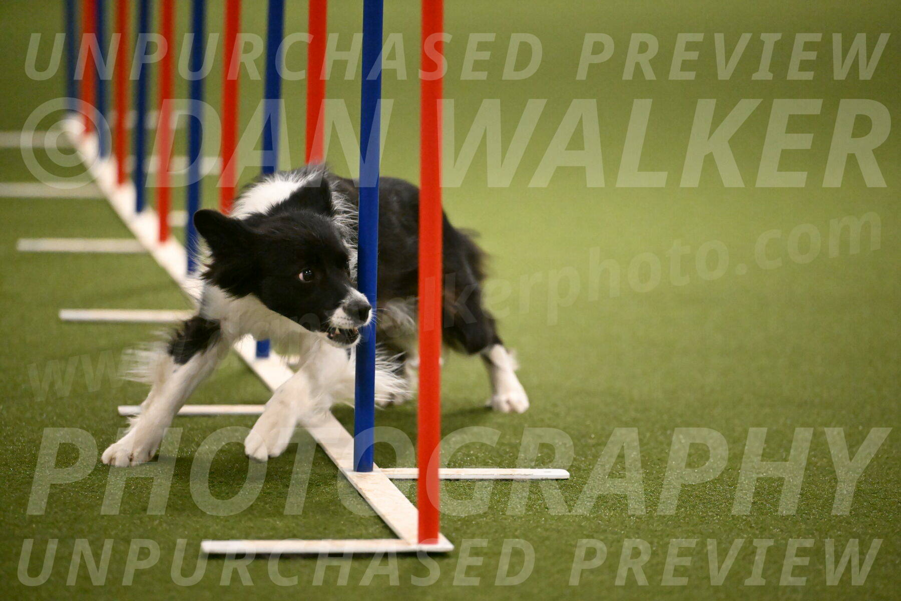 Esme-Samantha-Yanchik-00968