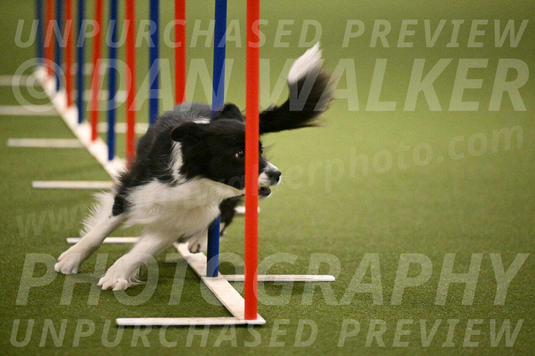 Esme-Samantha-Yanchik-00969