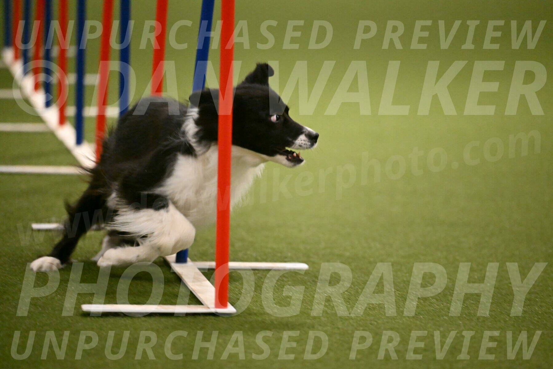 Esme-Samantha-Yanchik-00970