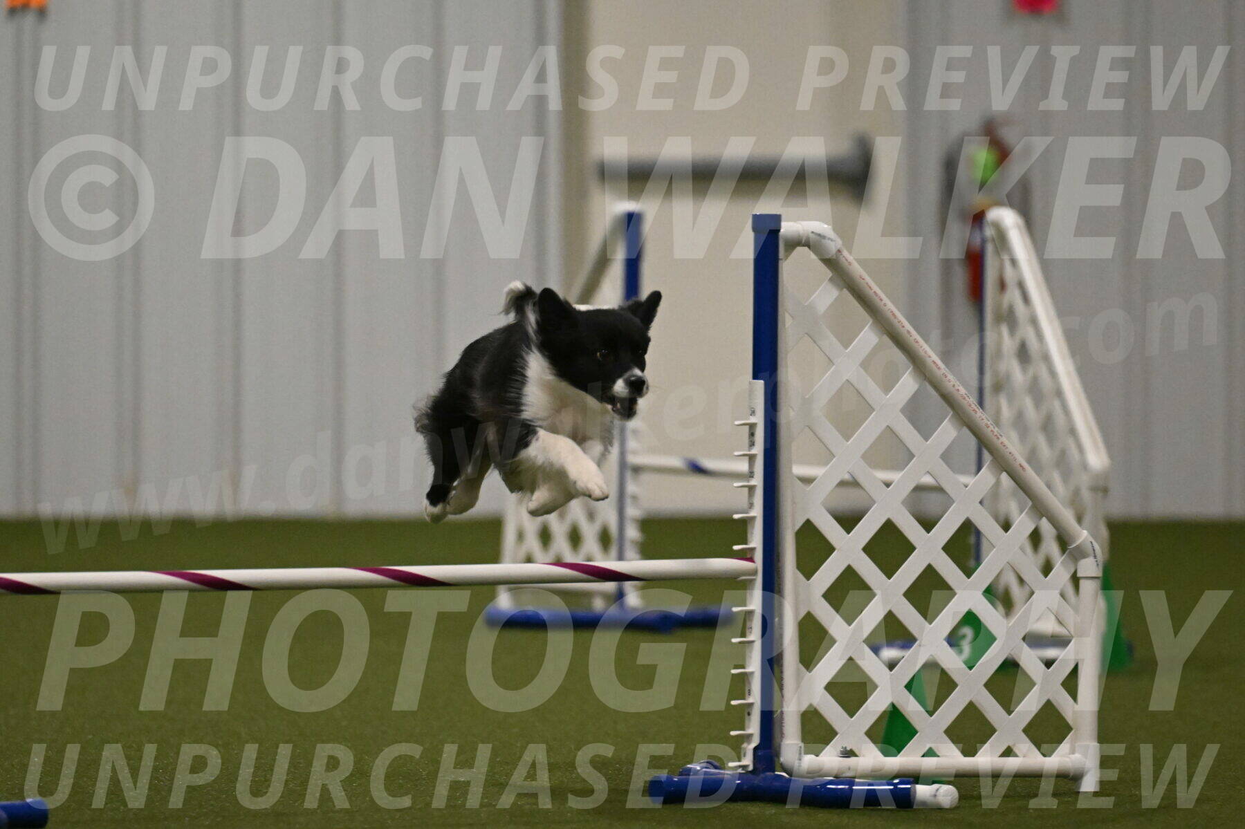 Esme-Samantha-Yanchik-00971