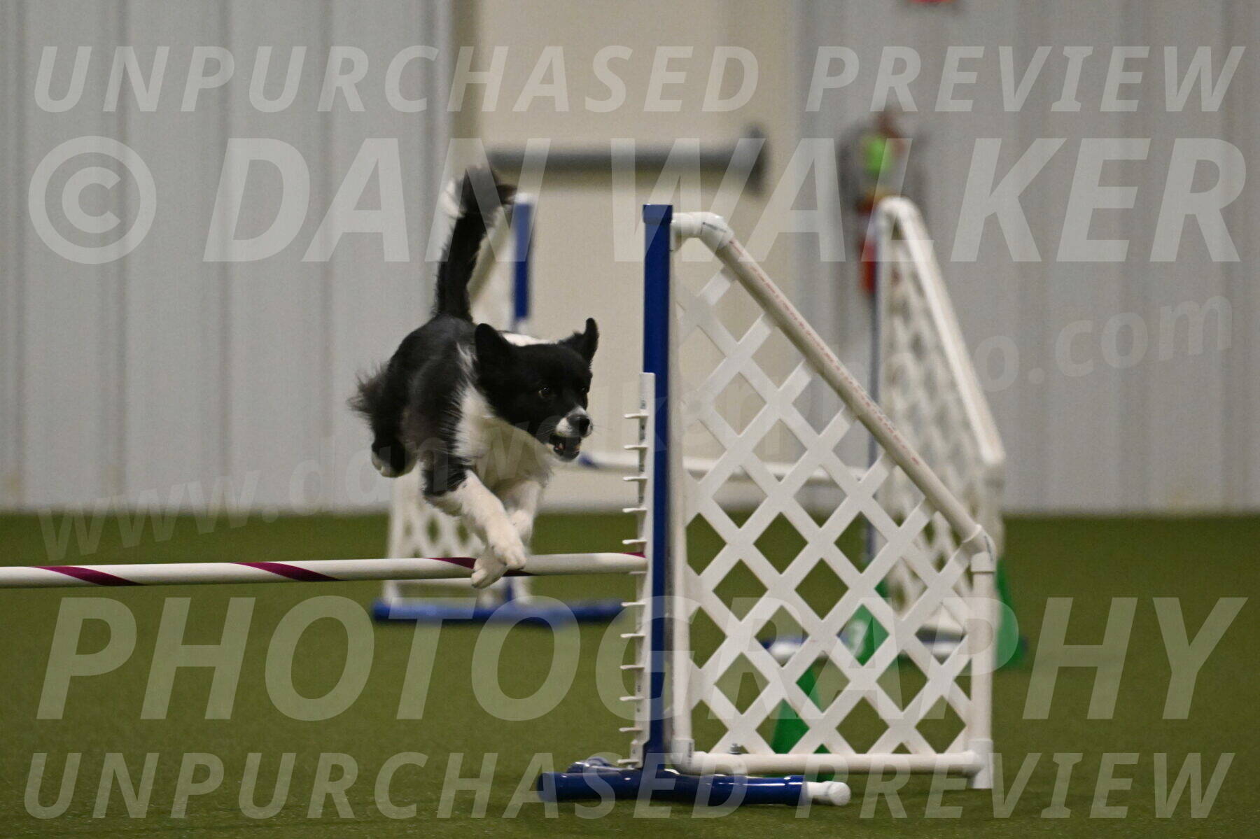 Esme-Samantha-Yanchik-00972