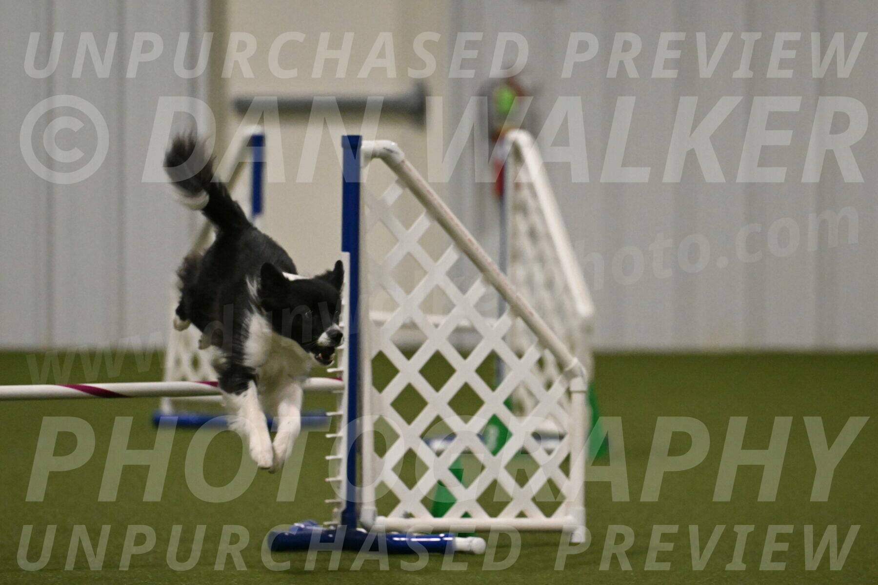 Esme-Samantha-Yanchik-00973