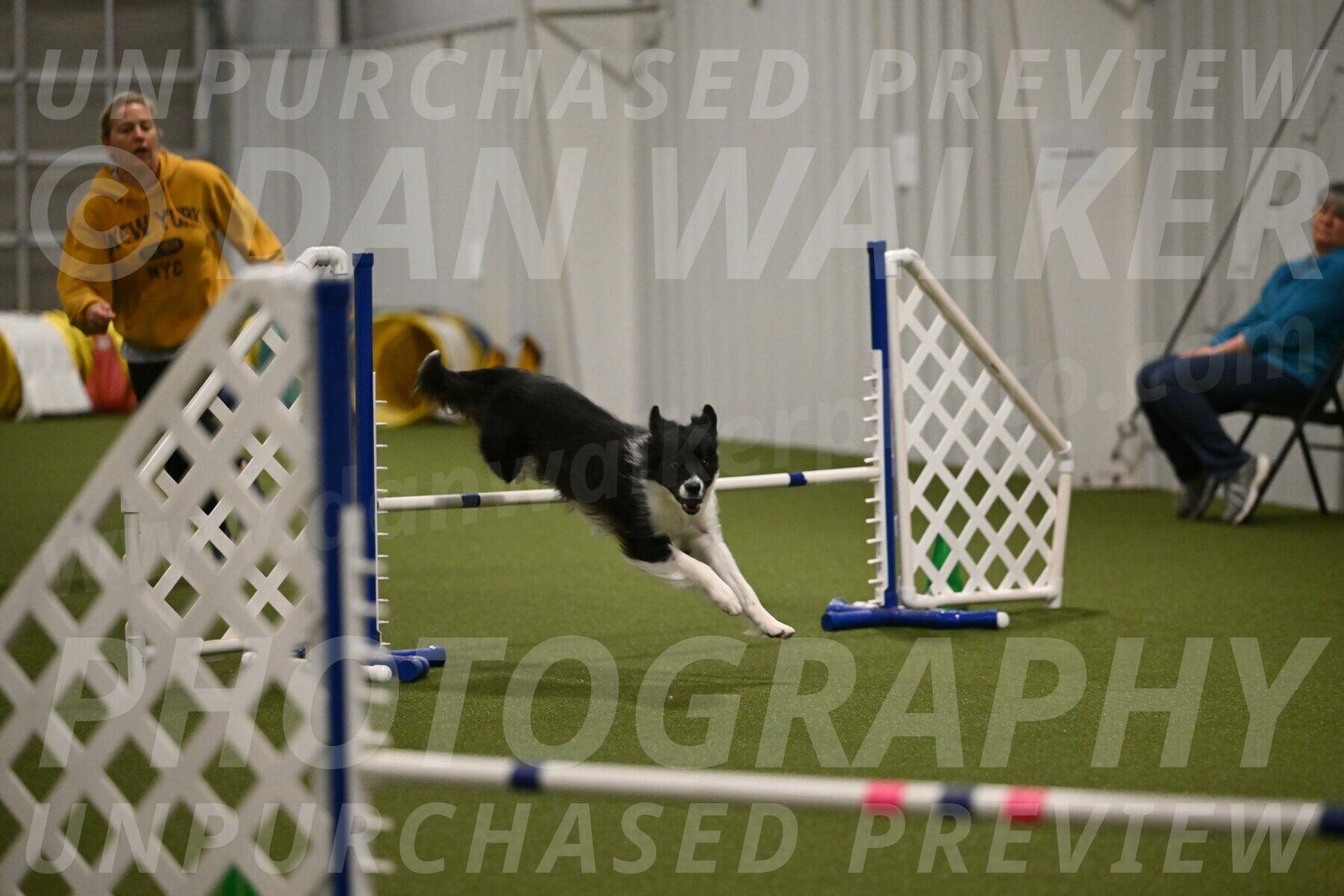 Esme-Samantha-Yanchik-00975