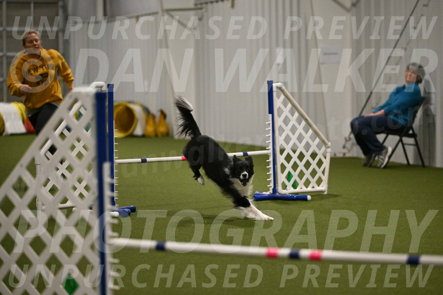 Esme-Samantha-Yanchik-00976