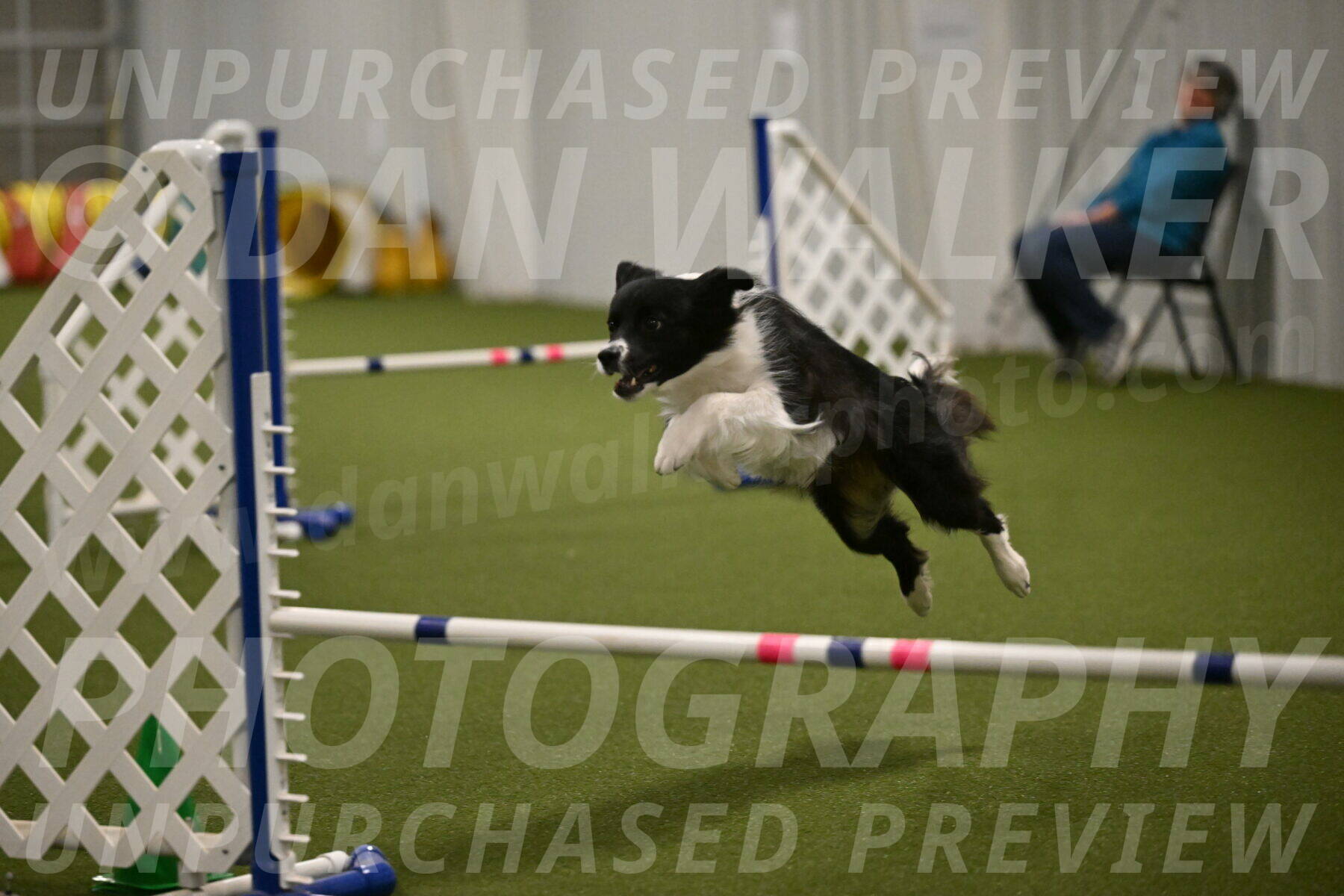 Esme-Samantha-Yanchik-00977