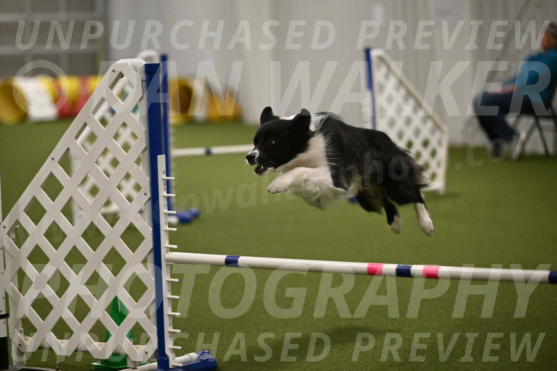 Esme-Samantha-Yanchik-00978