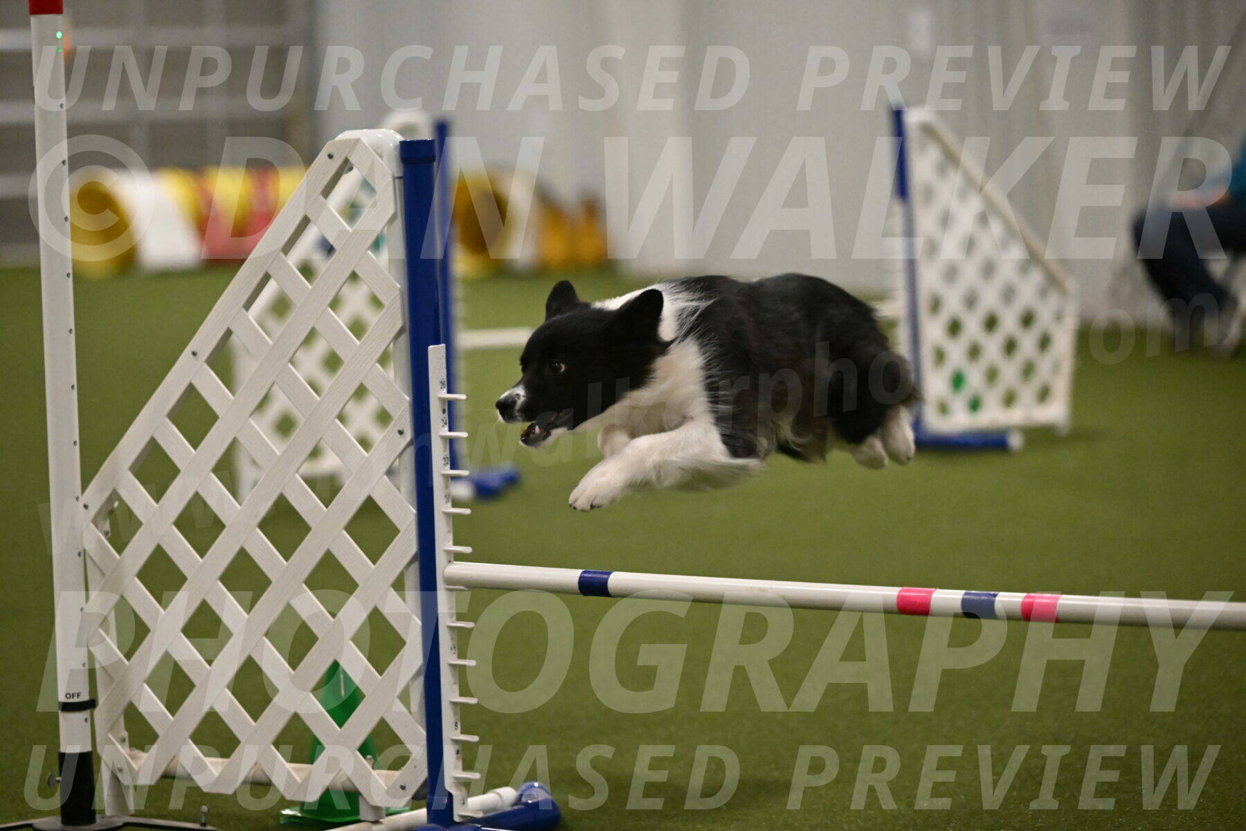 Esme-Samantha-Yanchik-00979