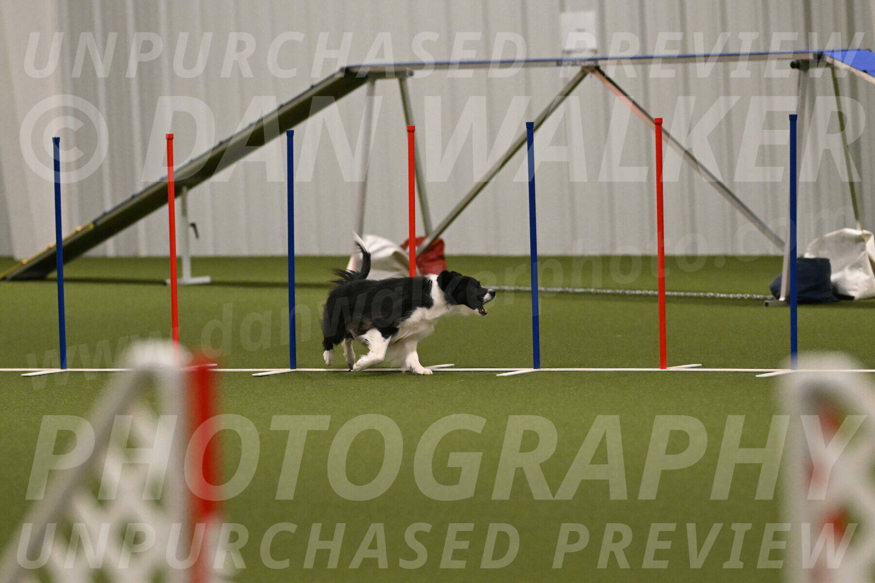 Esme-Samantha-Yanchik-00980