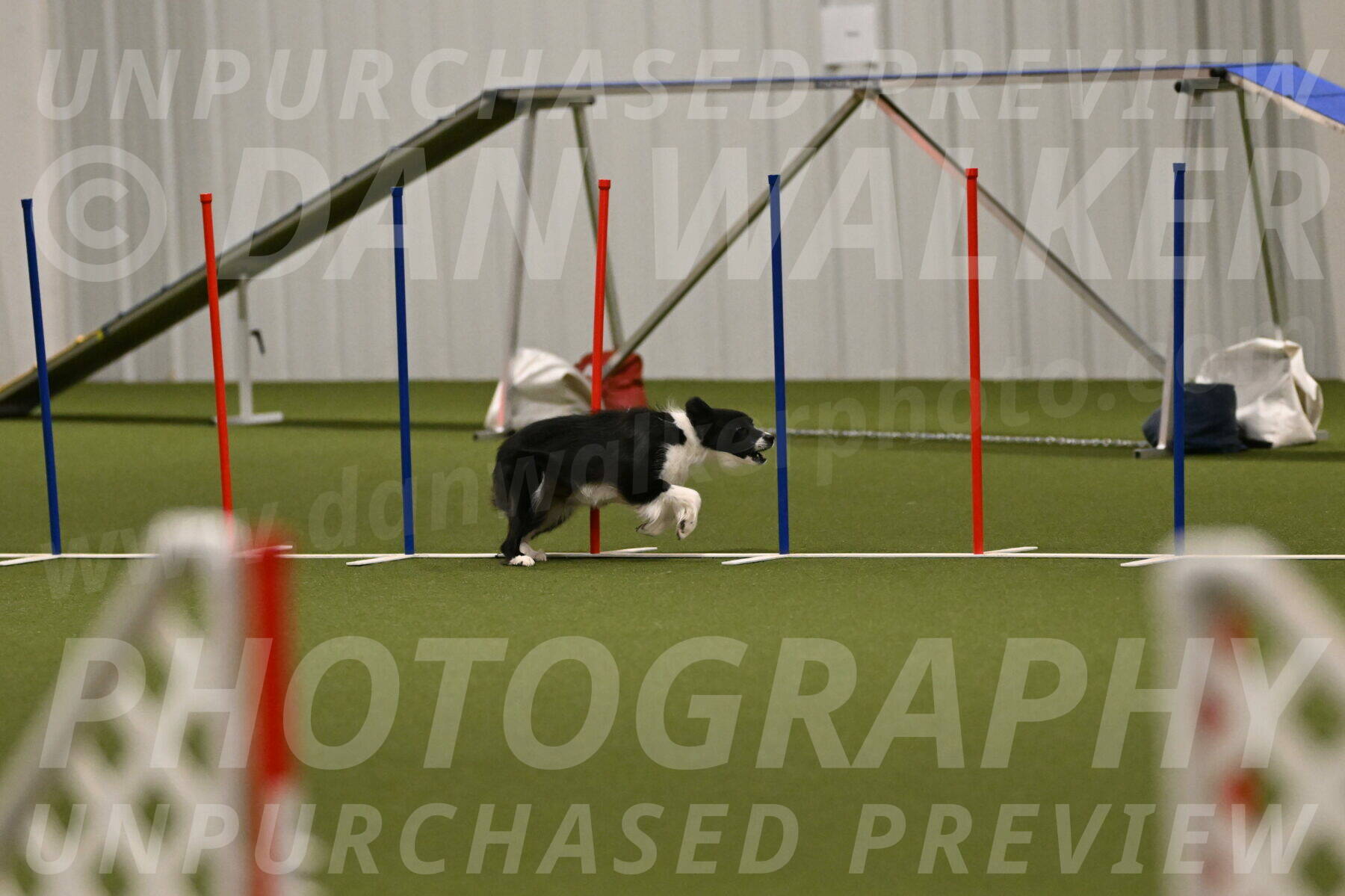 Esme-Samantha-Yanchik-00981