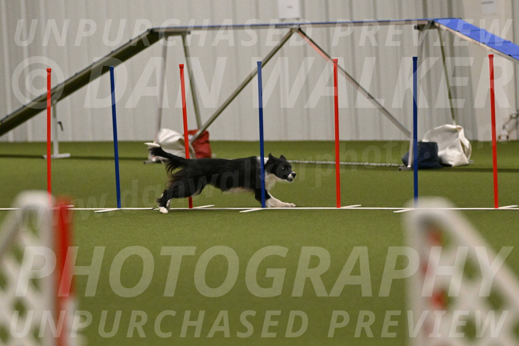 Esme-Samantha-Yanchik-00982