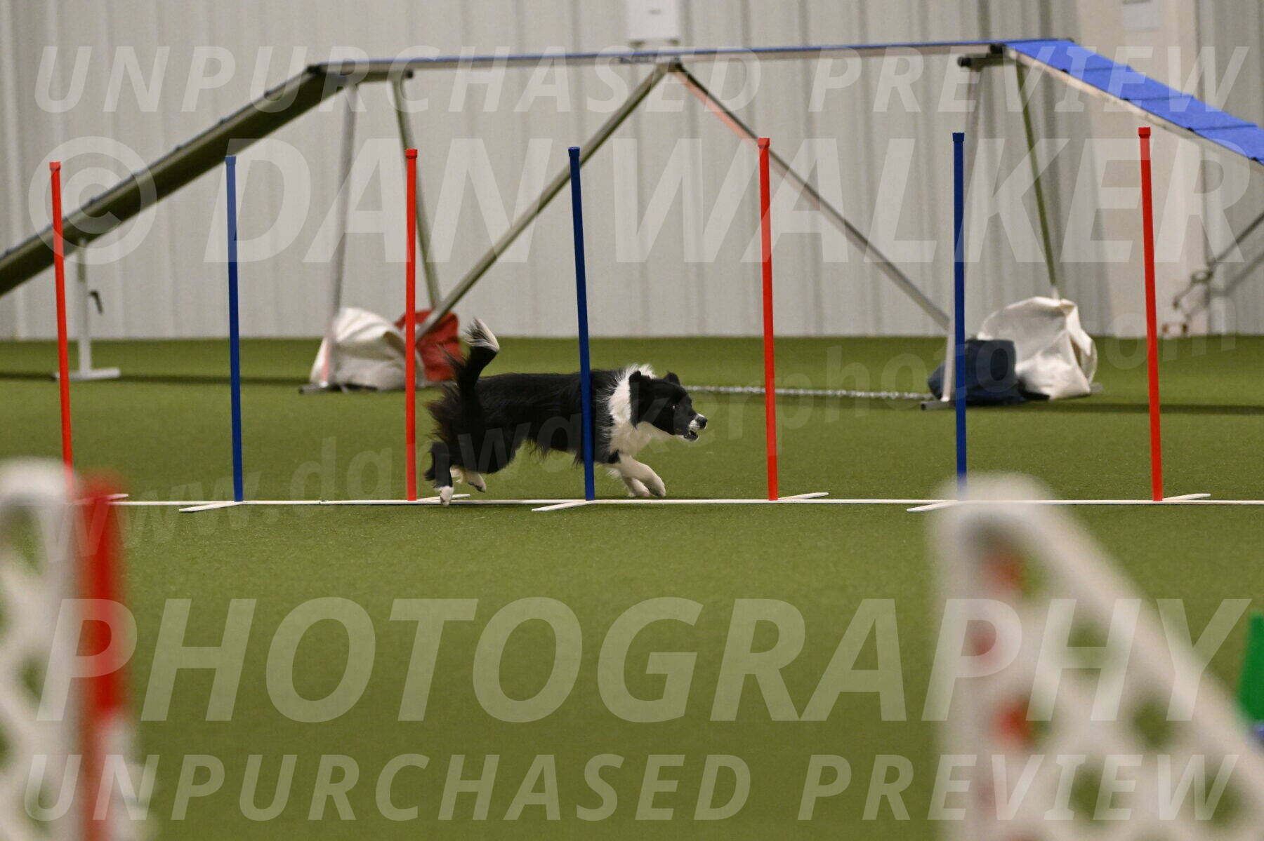 Esme-Samantha-Yanchik-00983