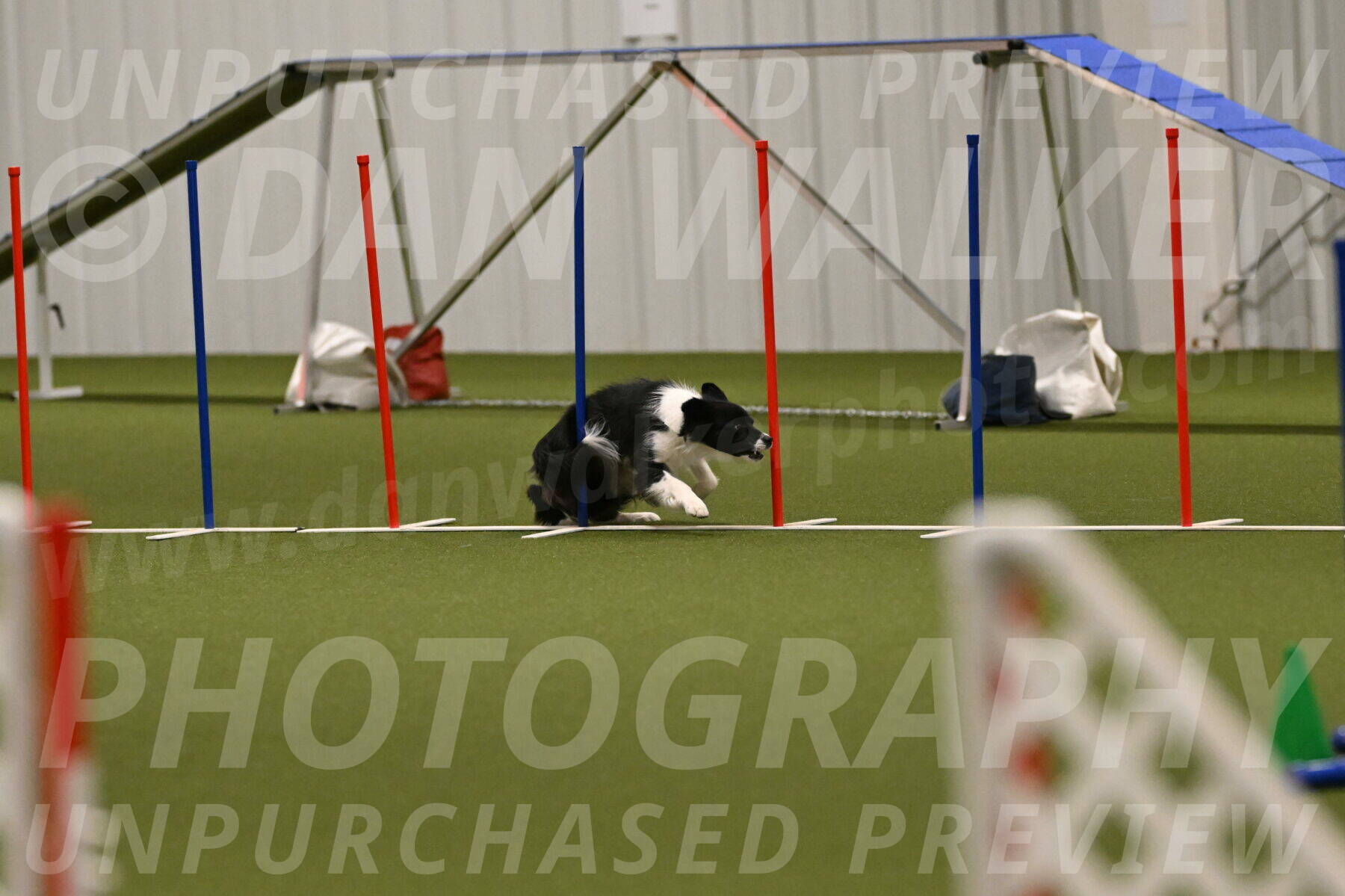 Esme-Samantha-Yanchik-00984