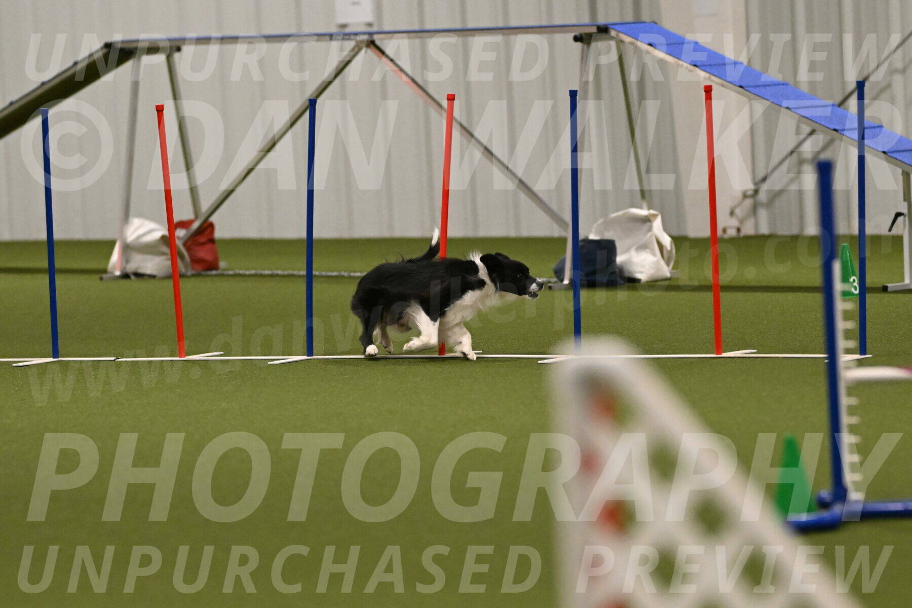 Esme-Samantha-Yanchik-00985