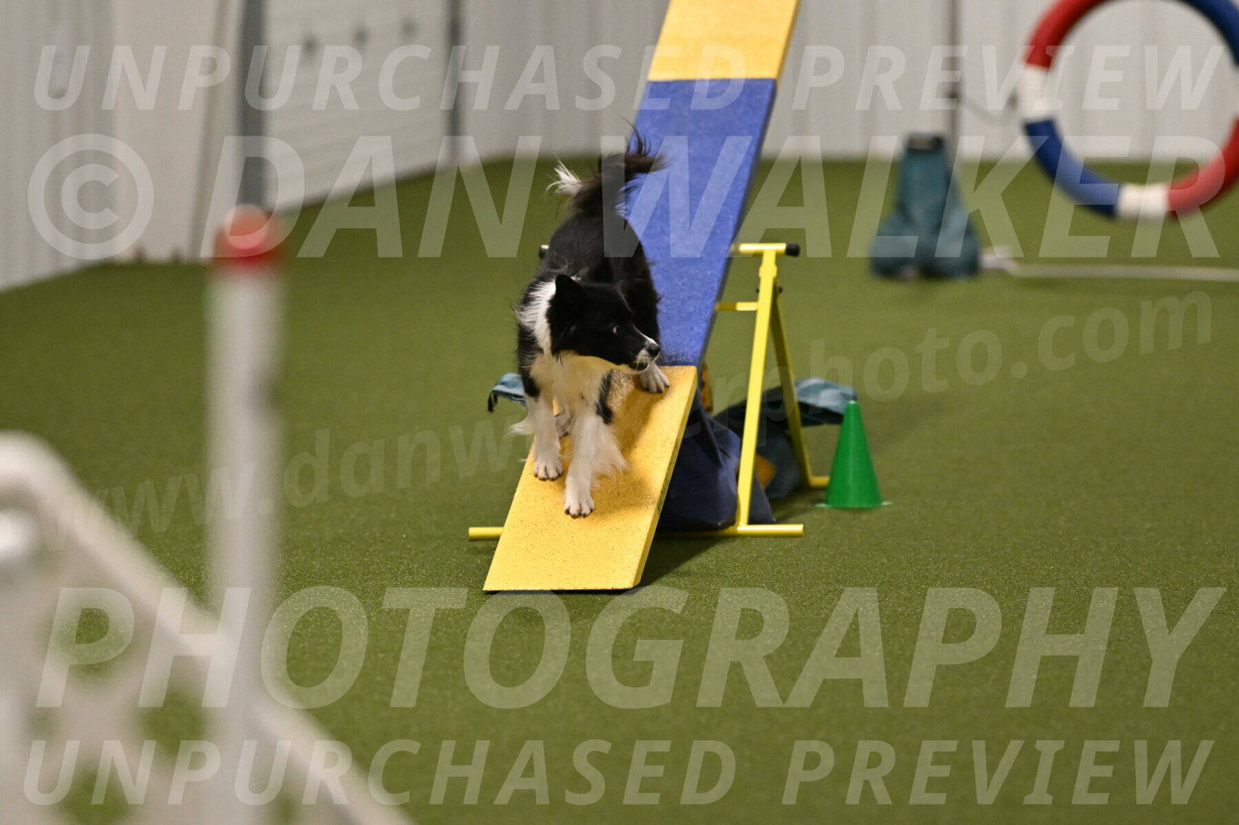 Esme-Samantha-Yanchik-00991