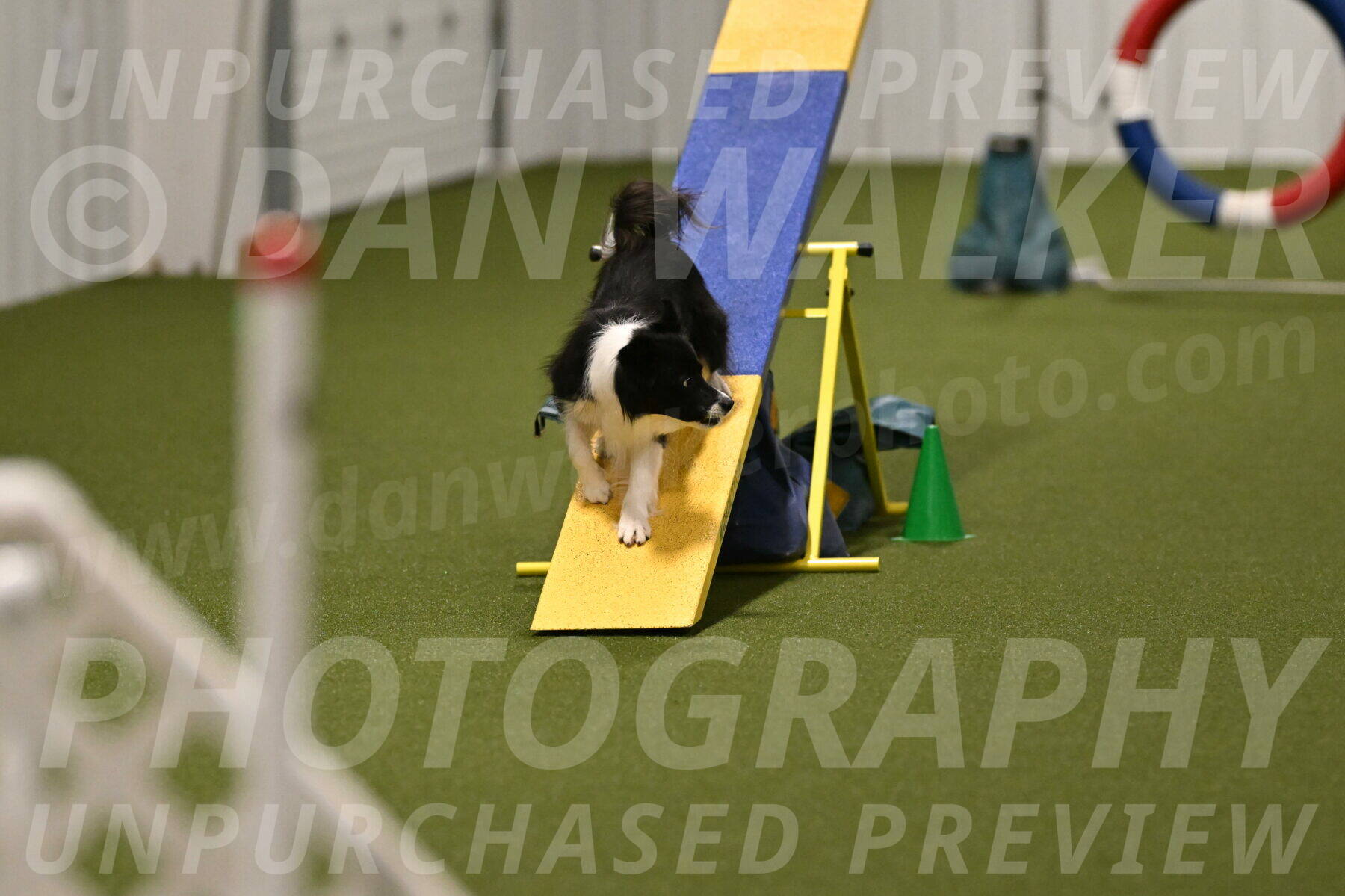 Esme-Samantha-Yanchik-00992