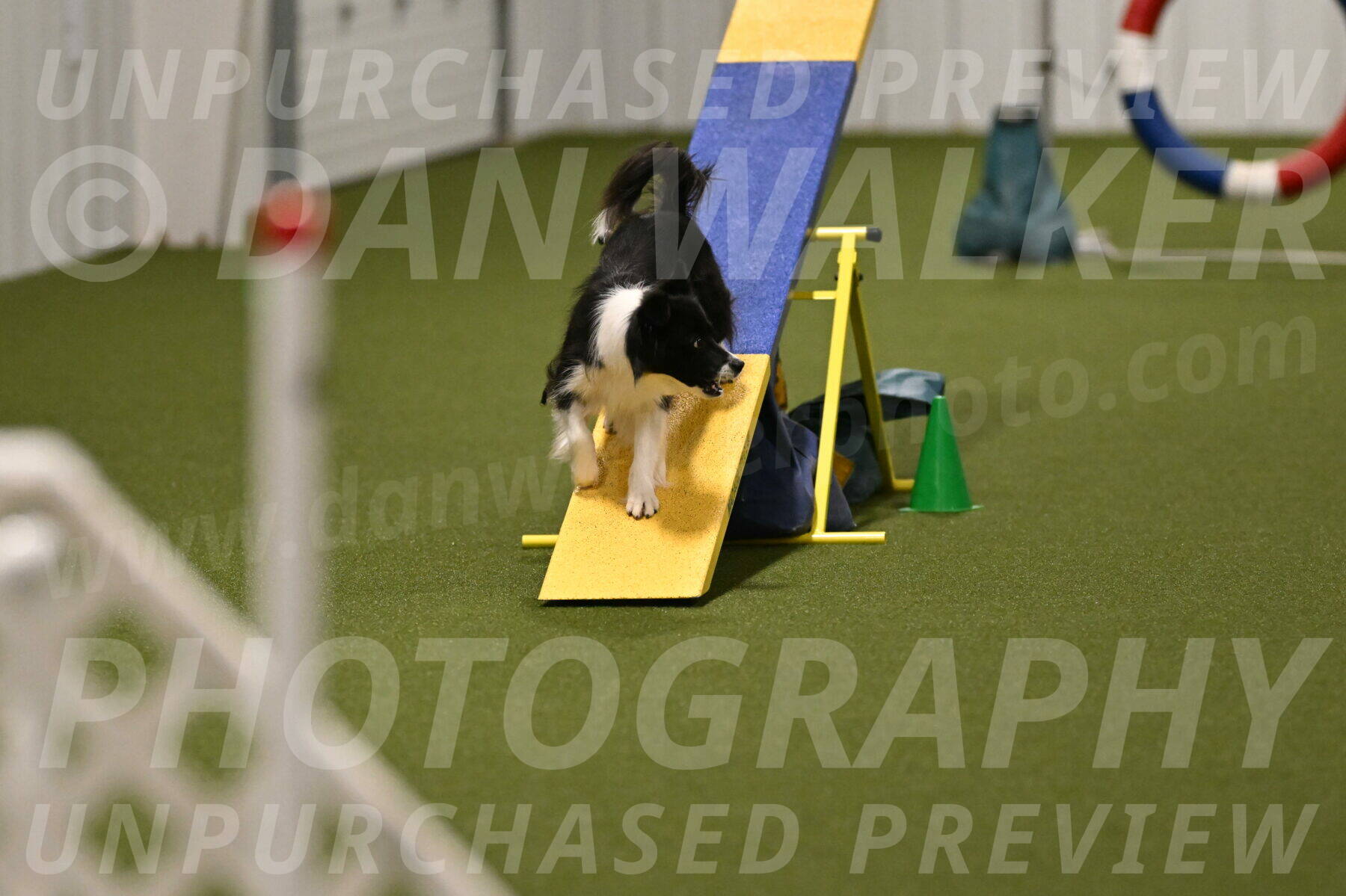 Esme-Samantha-Yanchik-00993