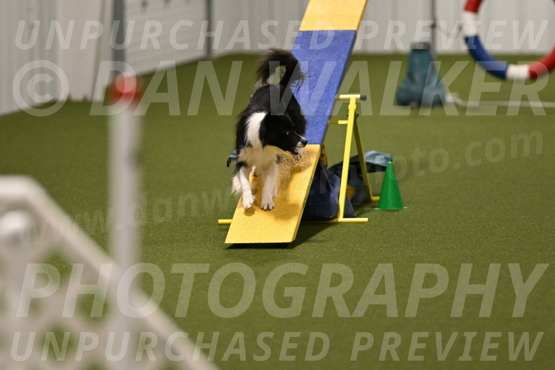 Esme-Samantha-Yanchik-00994