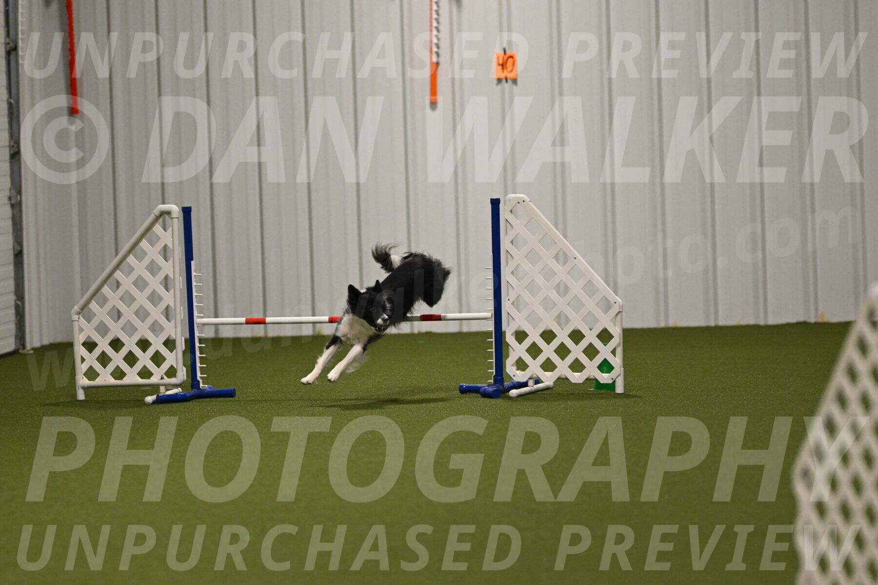 Esme-Samantha-Yanchik-00995