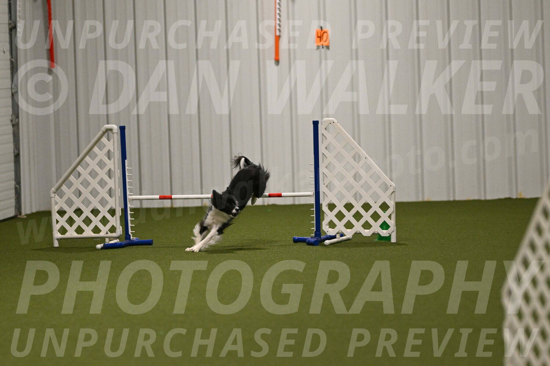 Esme-Samantha-Yanchik-00996