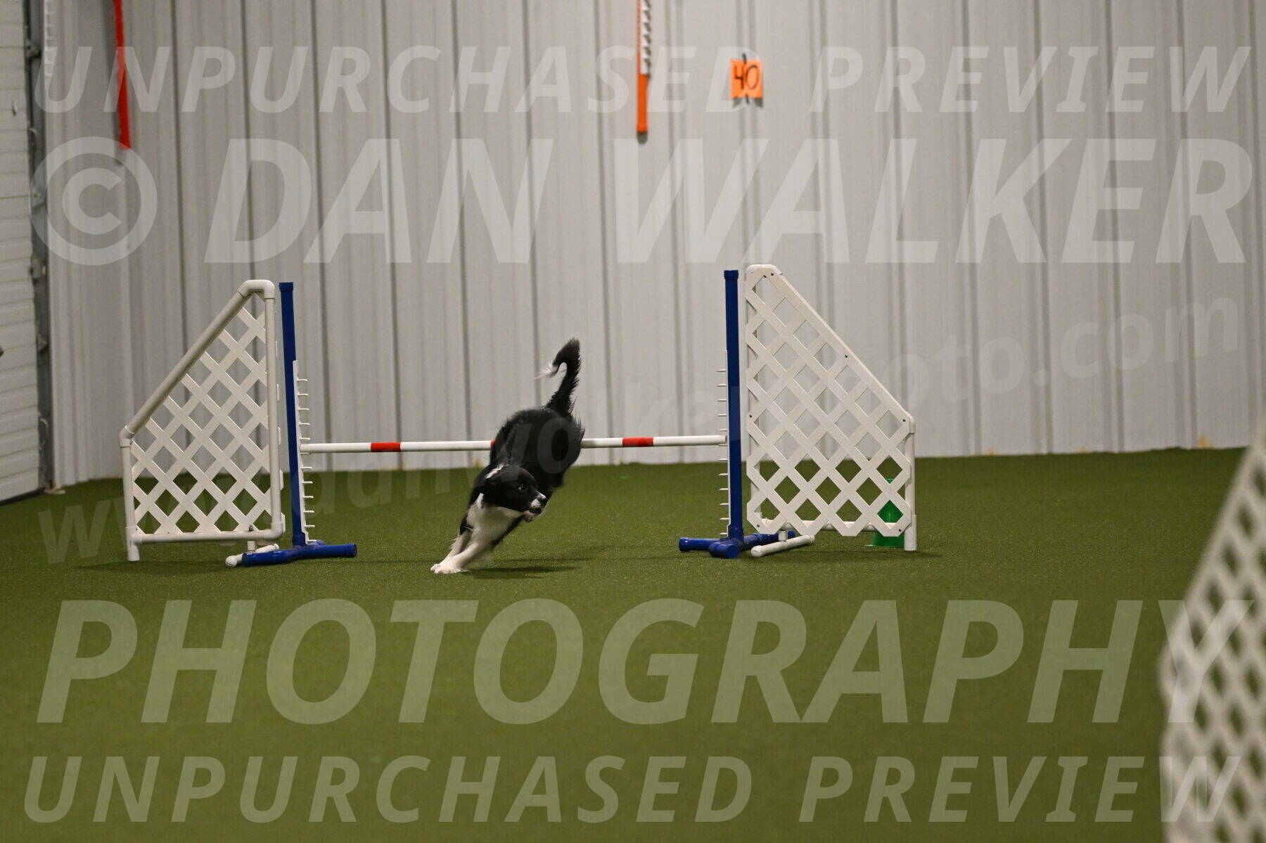 Esme-Samantha-Yanchik-00997