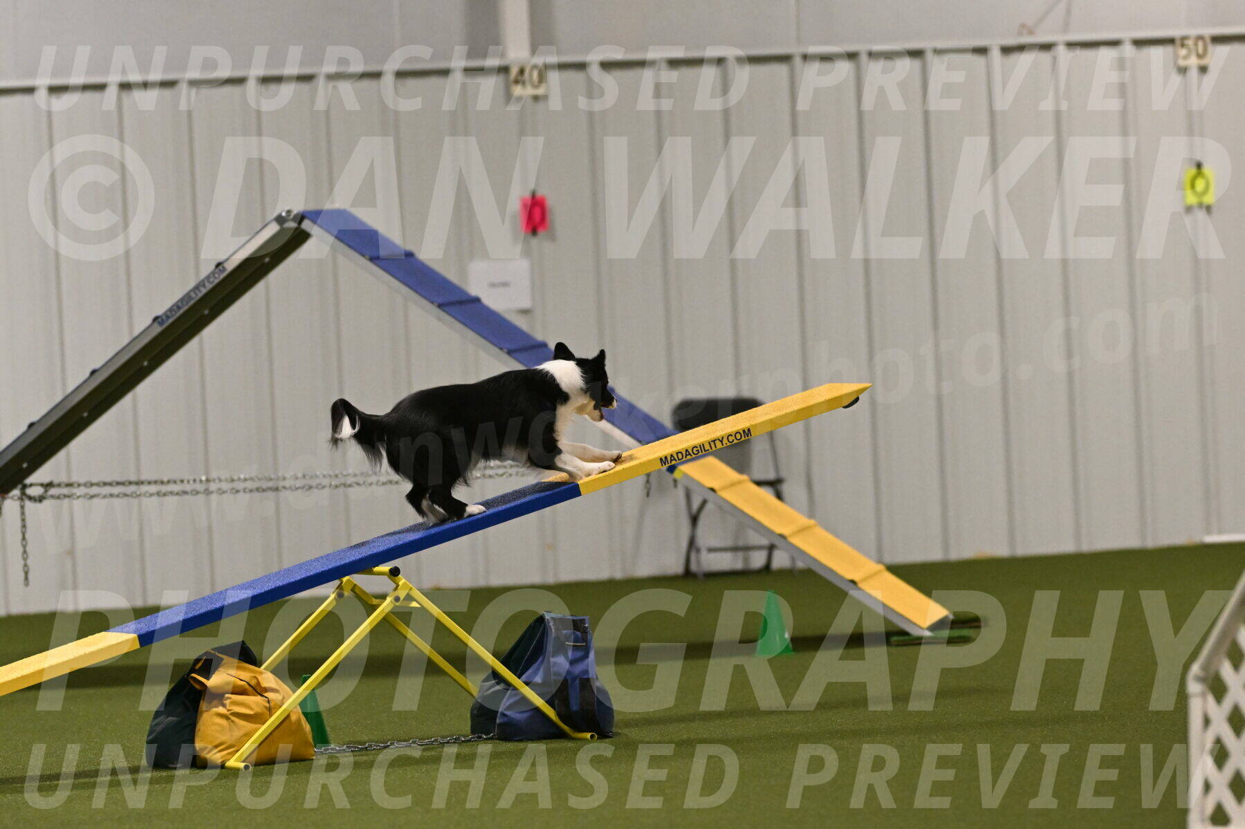 Esme-Samantha-Yanchik-00998