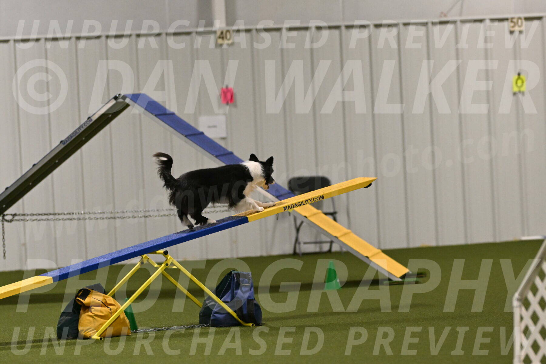 Esme-Samantha-Yanchik-00999