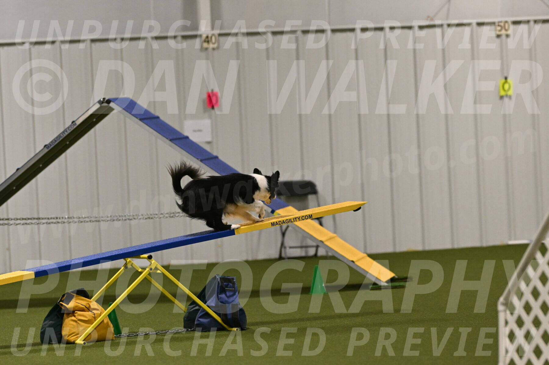 Esme-Samantha-Yanchik-01000