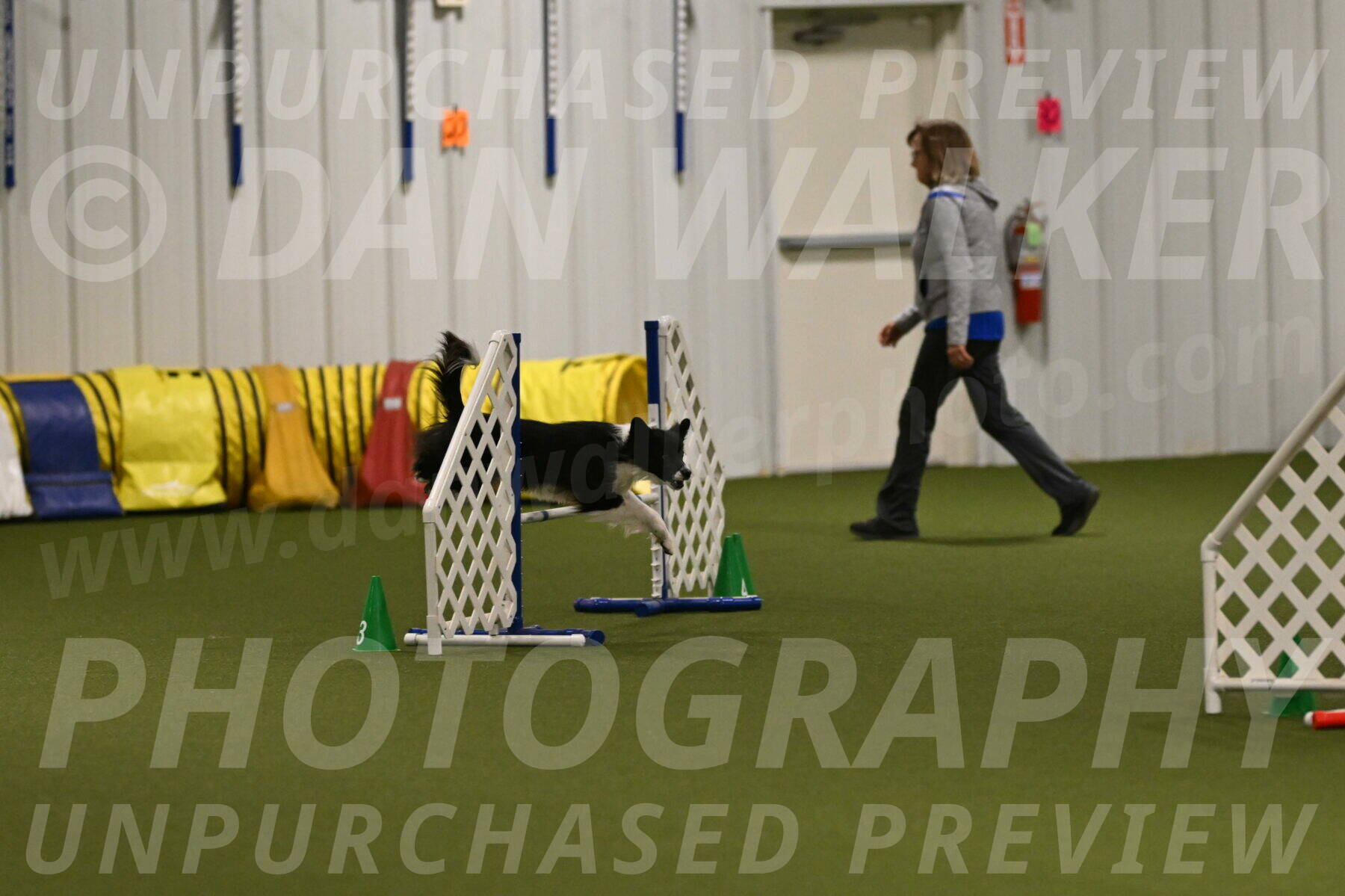 Esme-Samantha-Yanchik-01001