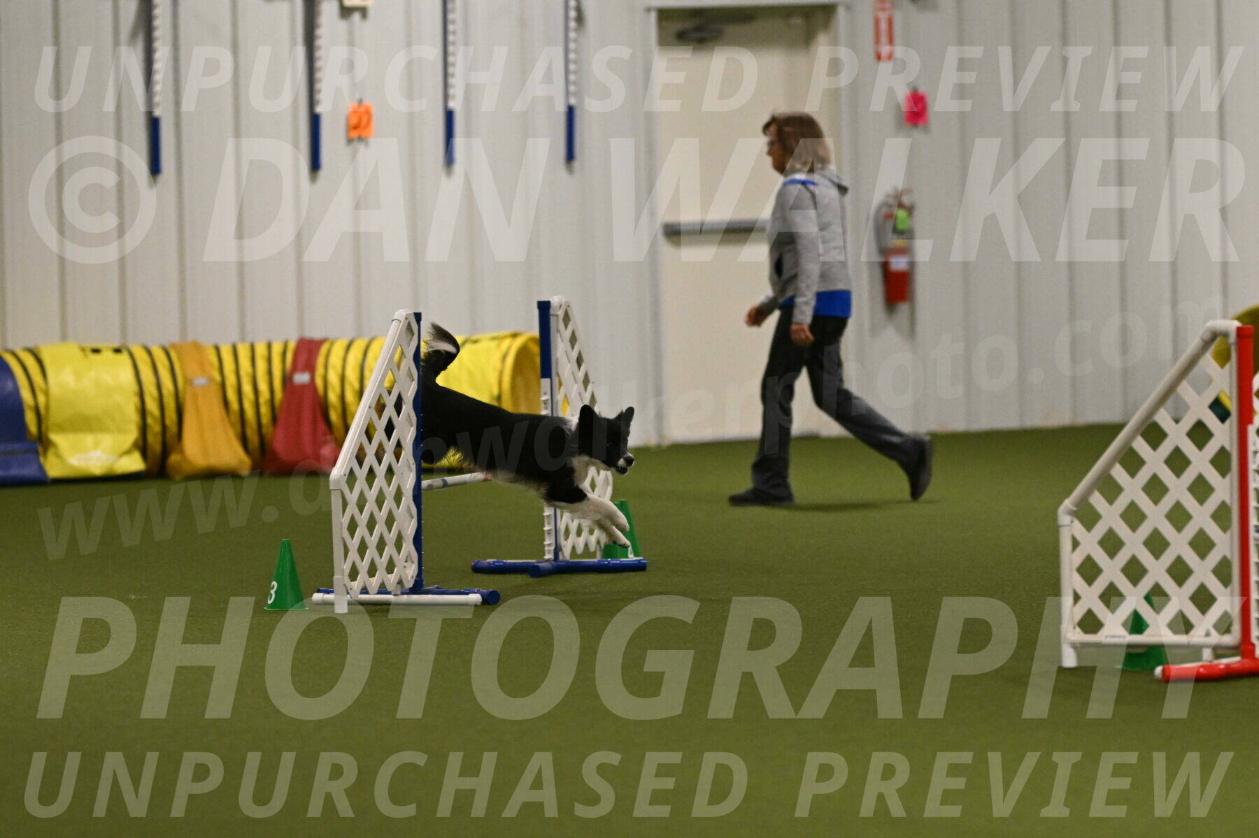 Esme-Samantha-Yanchik-01002