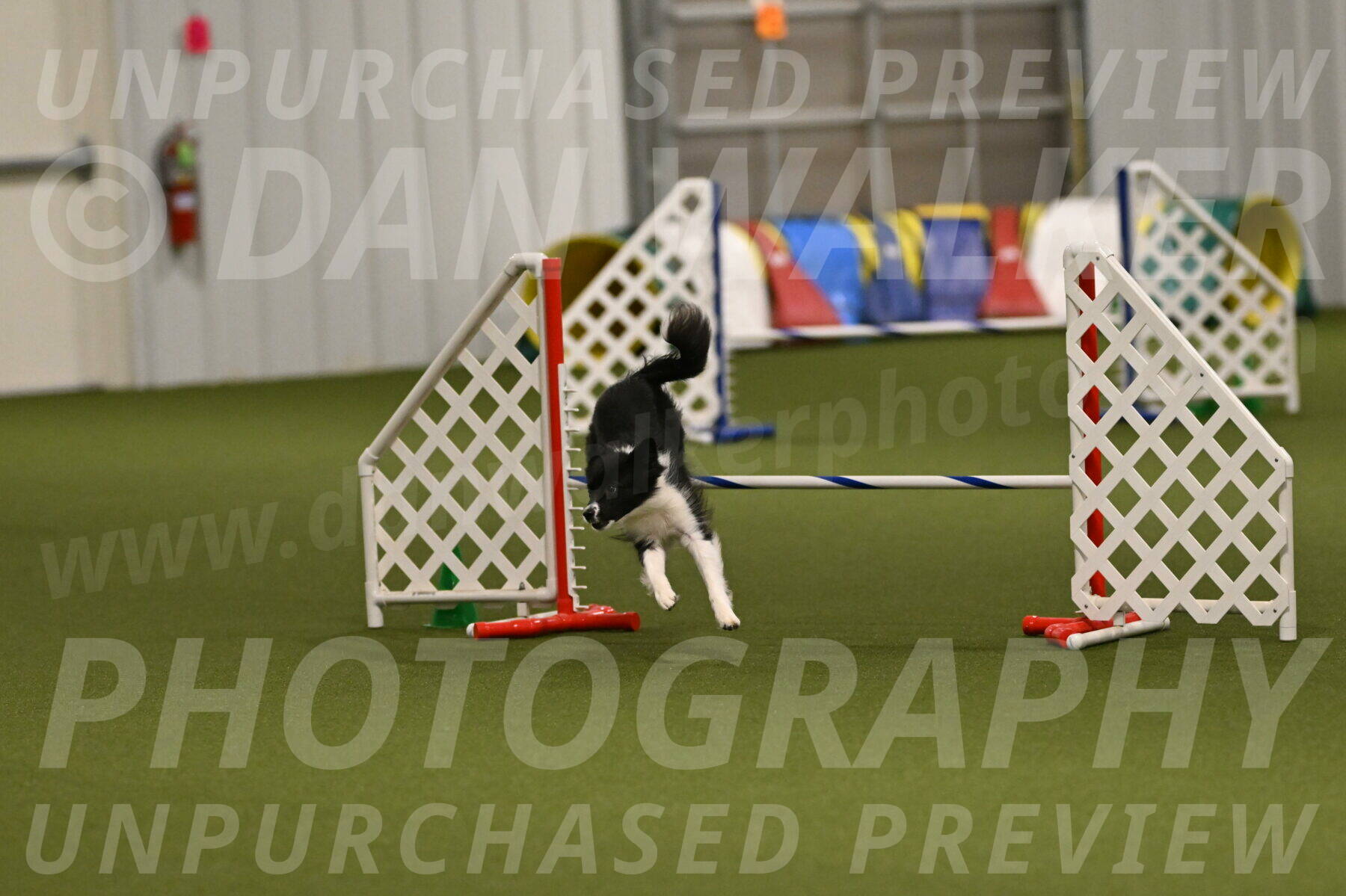 Esme-Samantha-Yanchik-01003