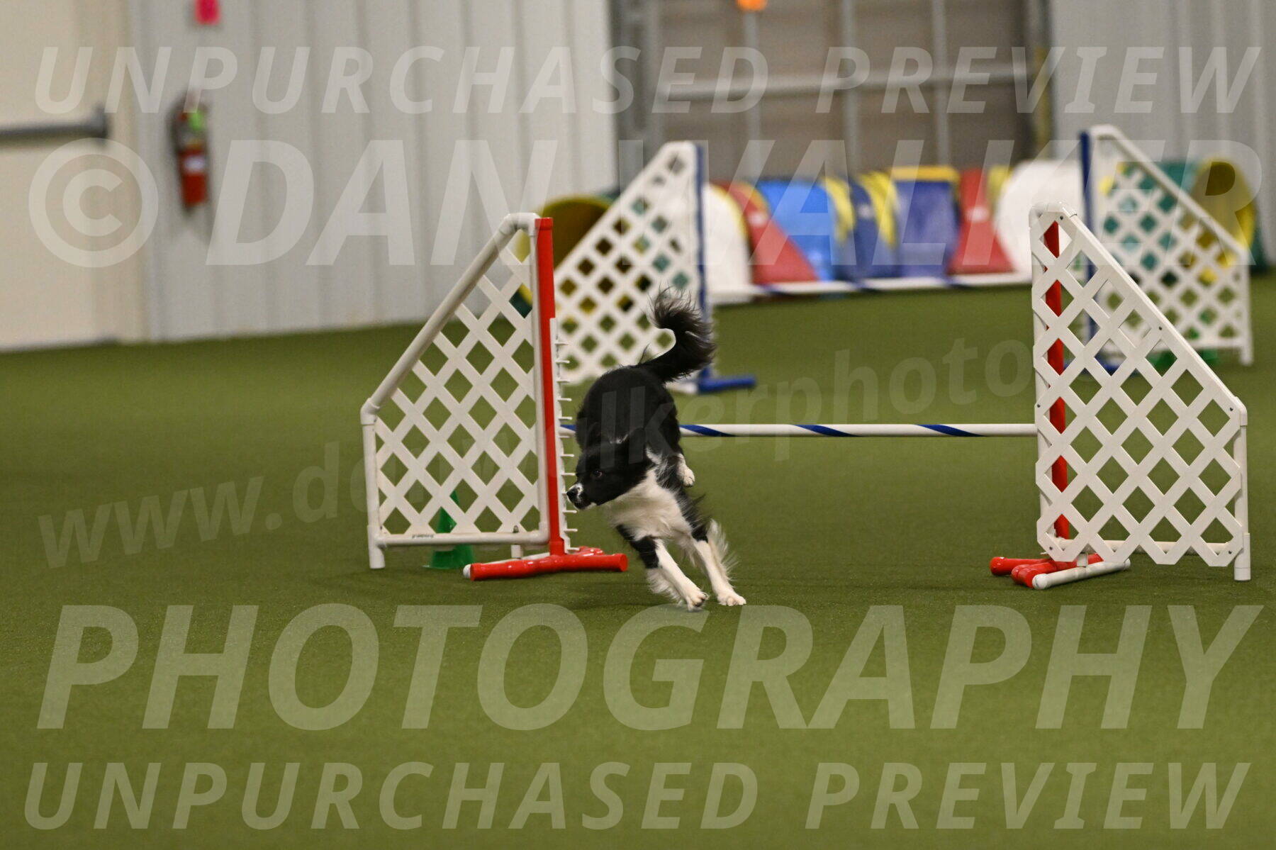 Esme-Samantha-Yanchik-01004