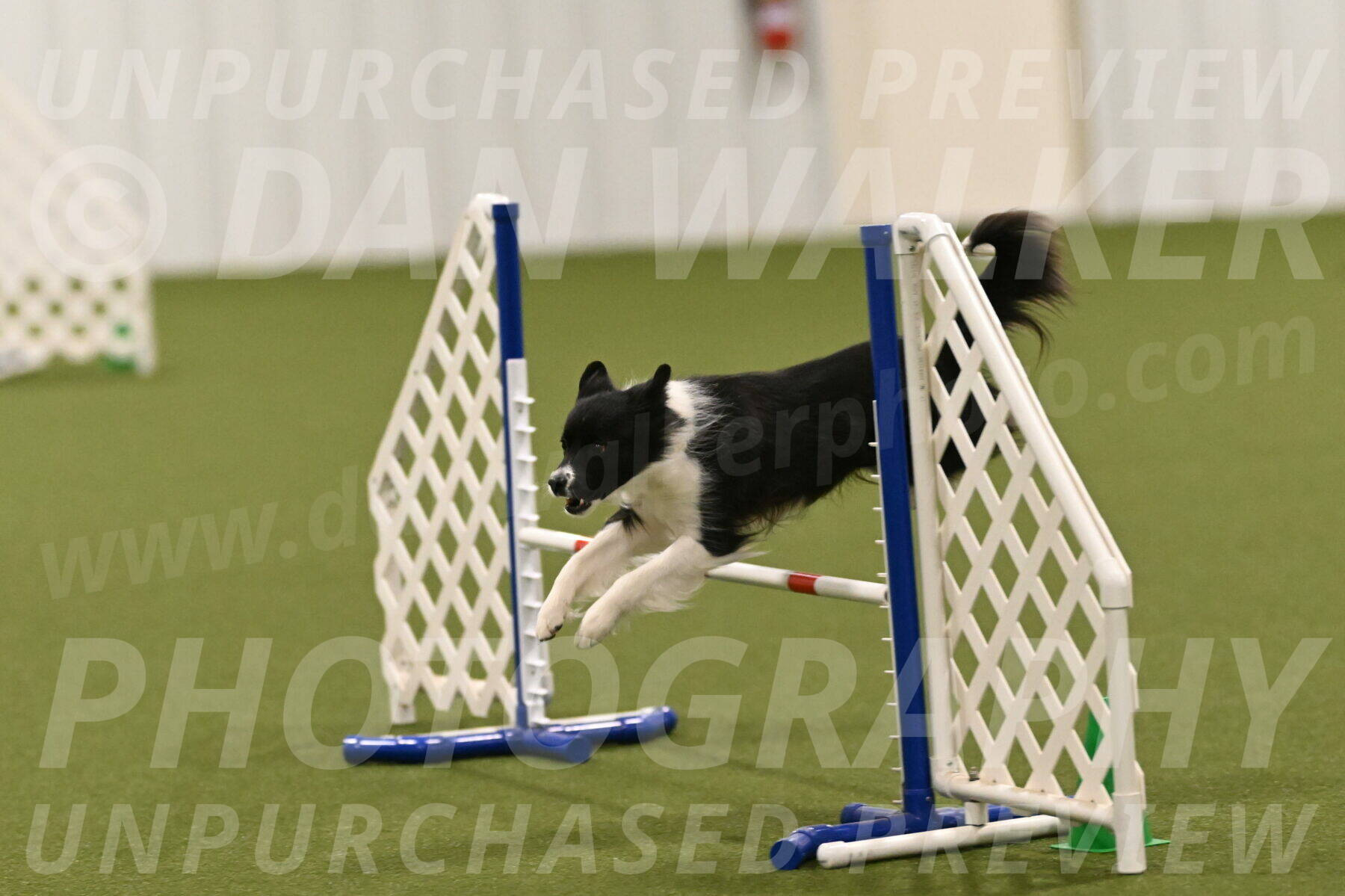 Esme-Samantha-Yanchik-01005