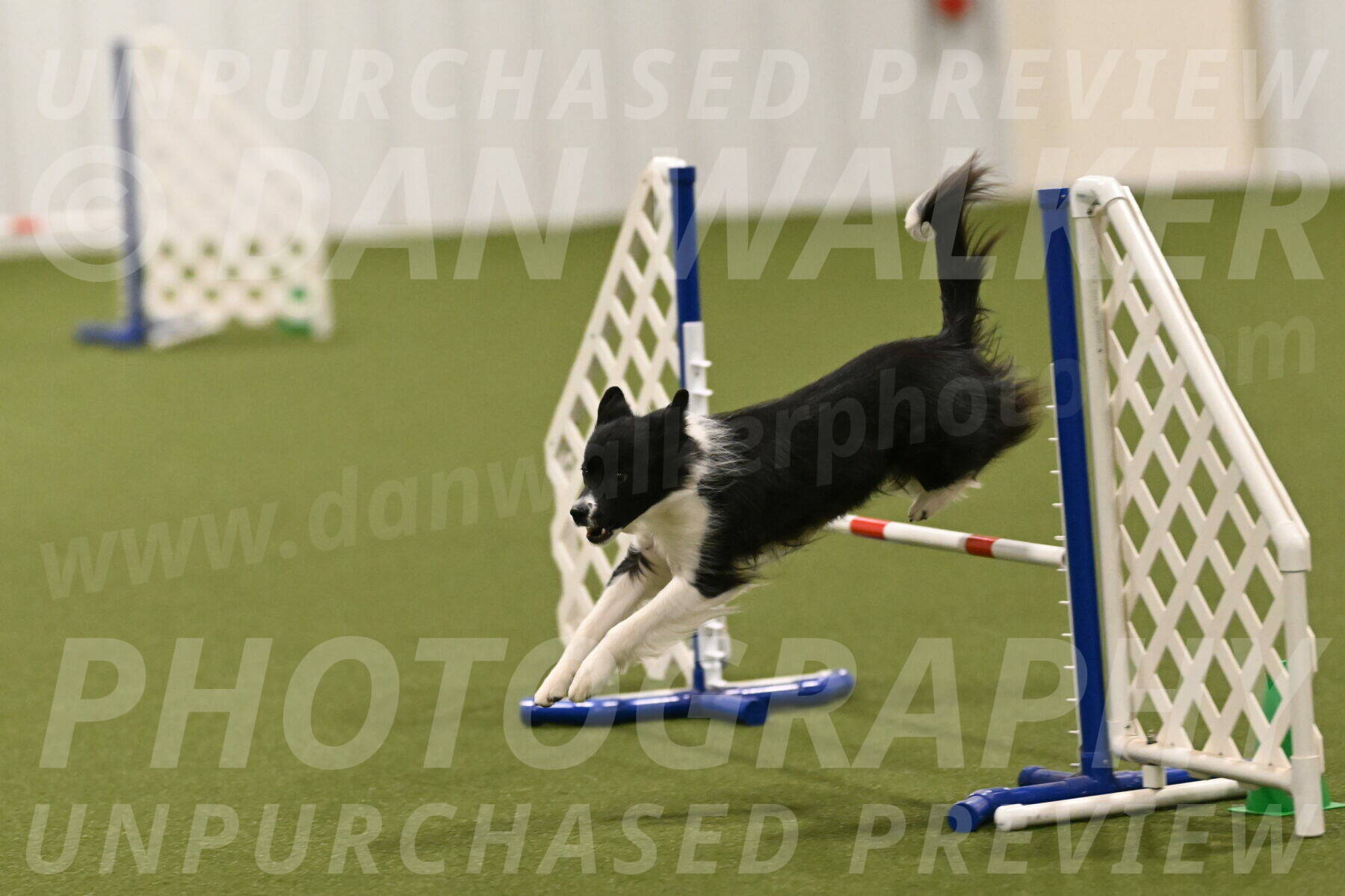 Esme-Samantha-Yanchik-01006