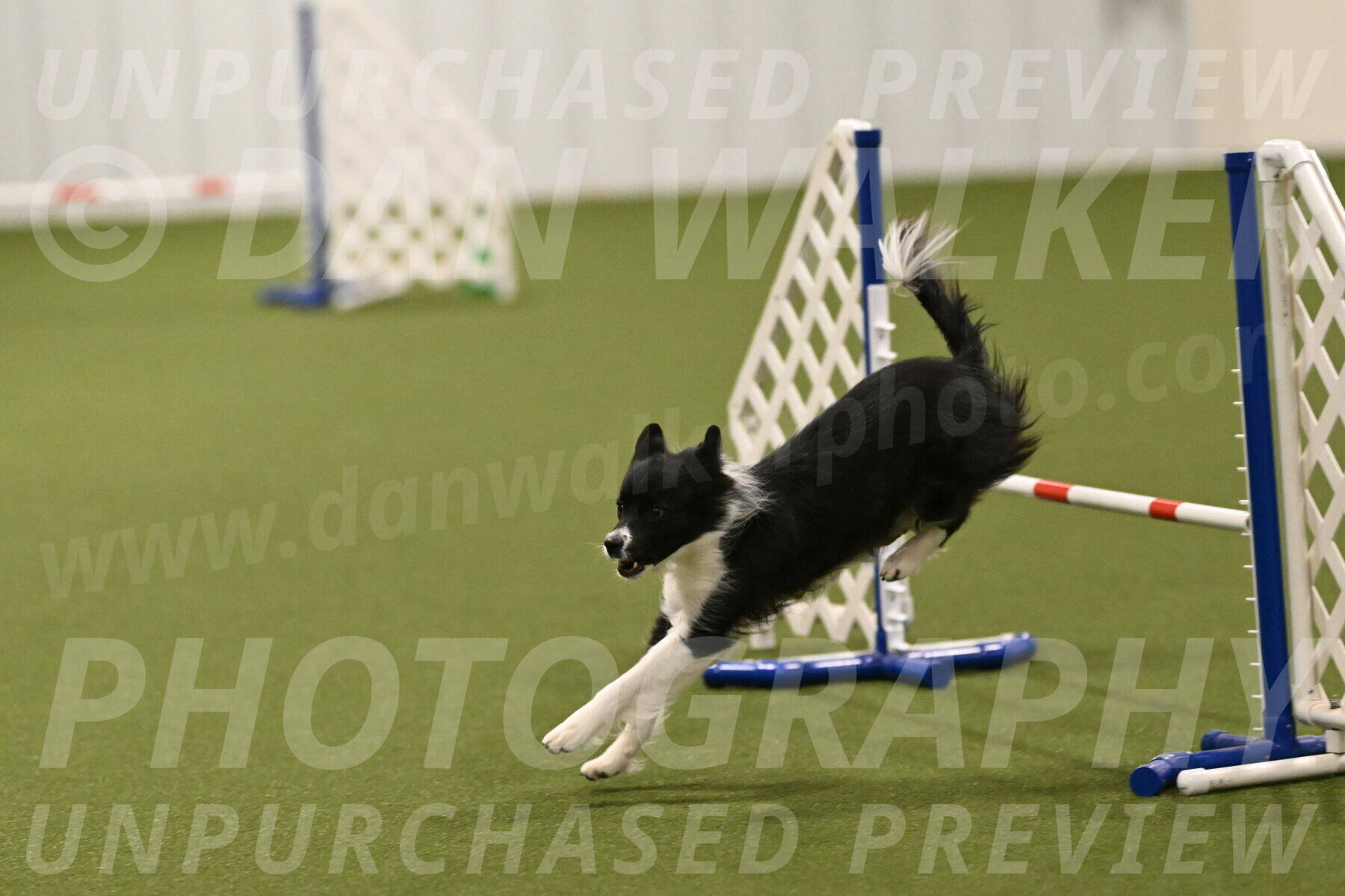 Esme-Samantha-Yanchik-01007