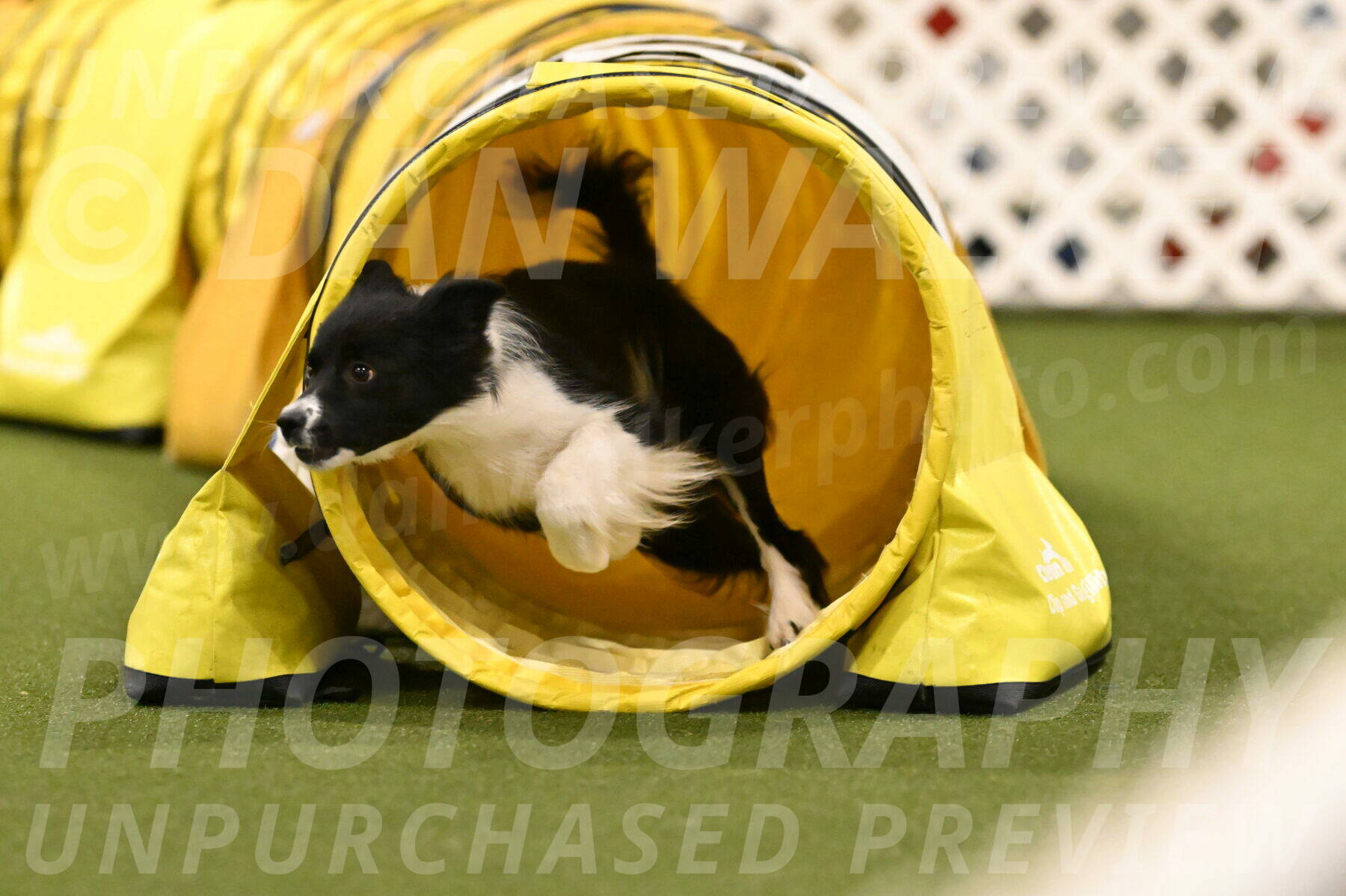 Esme-Samantha-Yanchik-01008