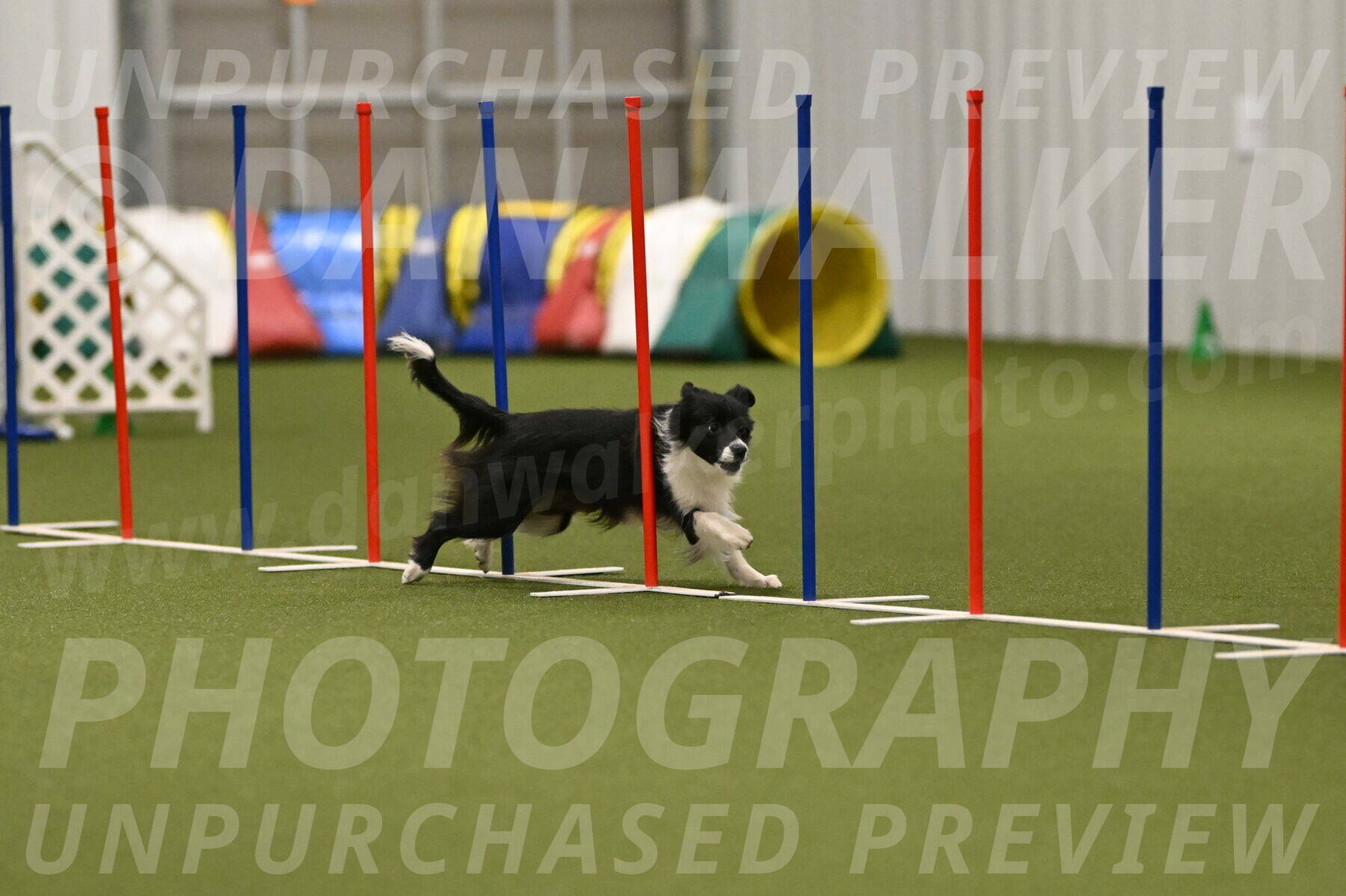 Esme-Samantha-Yanchik-01009