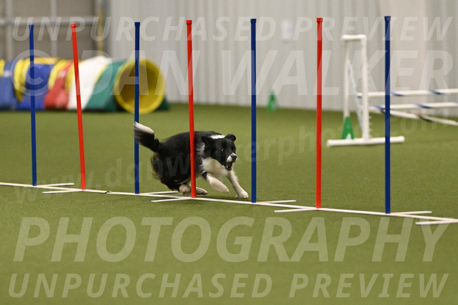 Esme-Samantha-Yanchik-01010