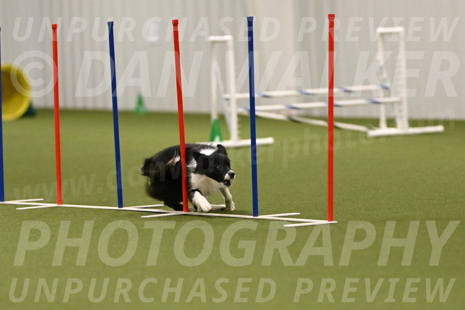 Esme-Samantha-Yanchik-01011