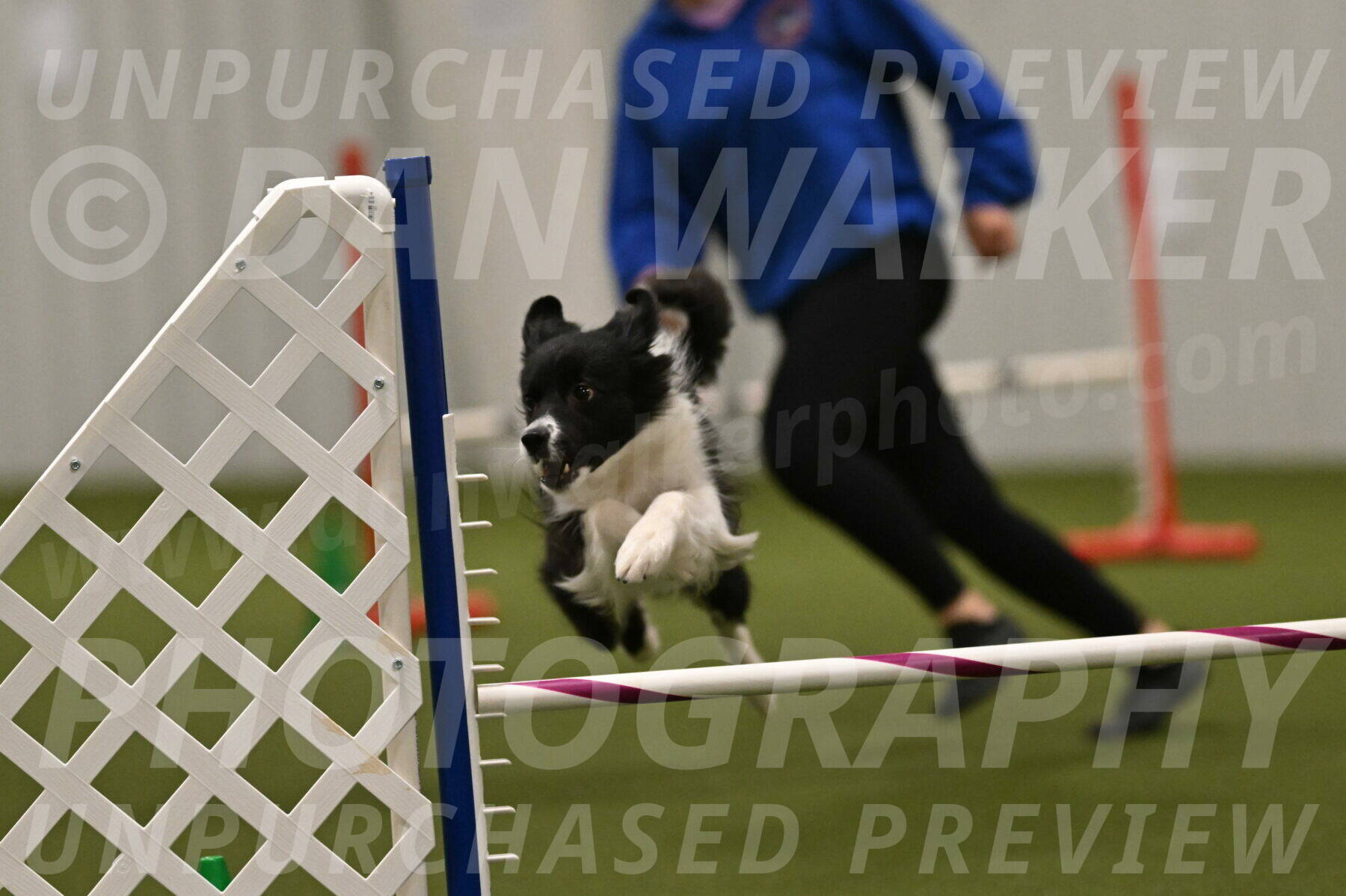 Esme-Samantha-Yanchik-01012