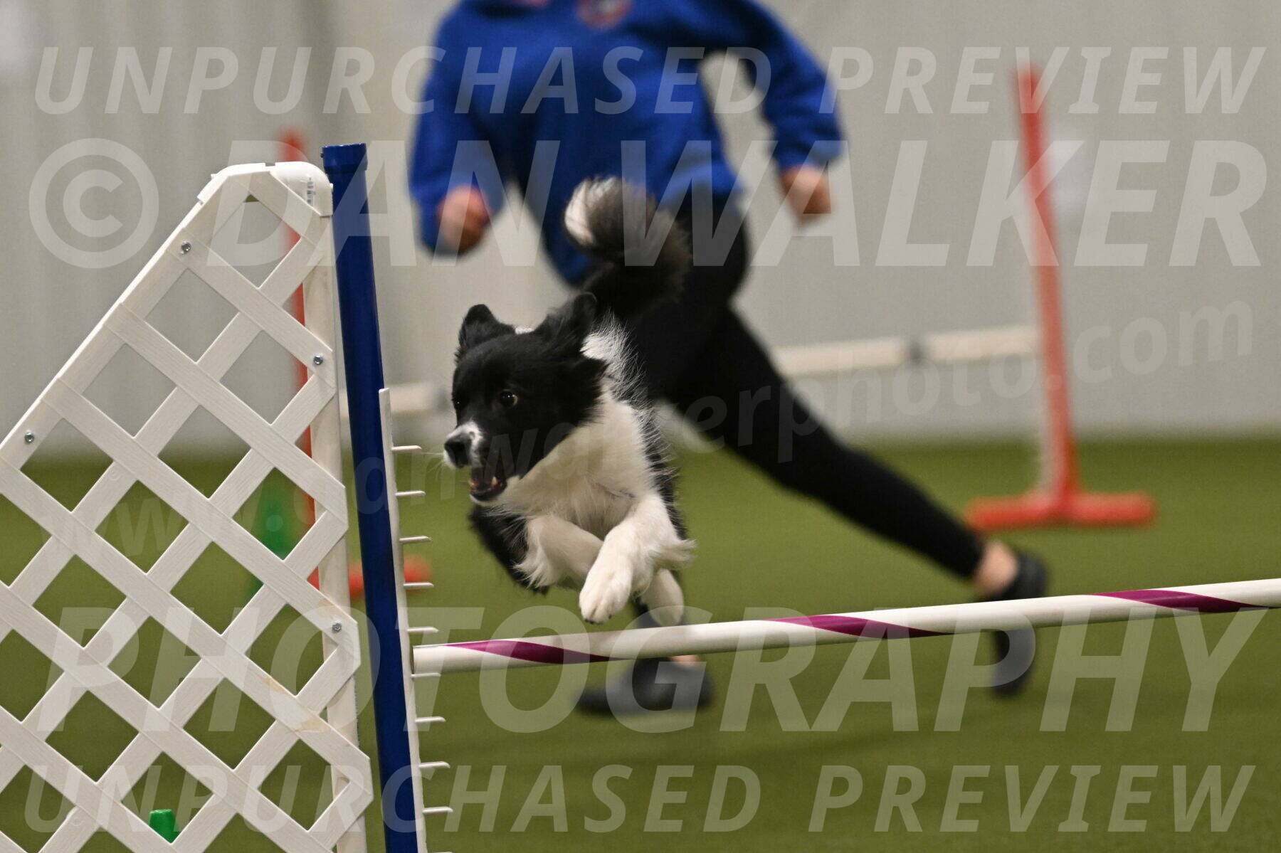 Esme-Samantha-Yanchik-01013