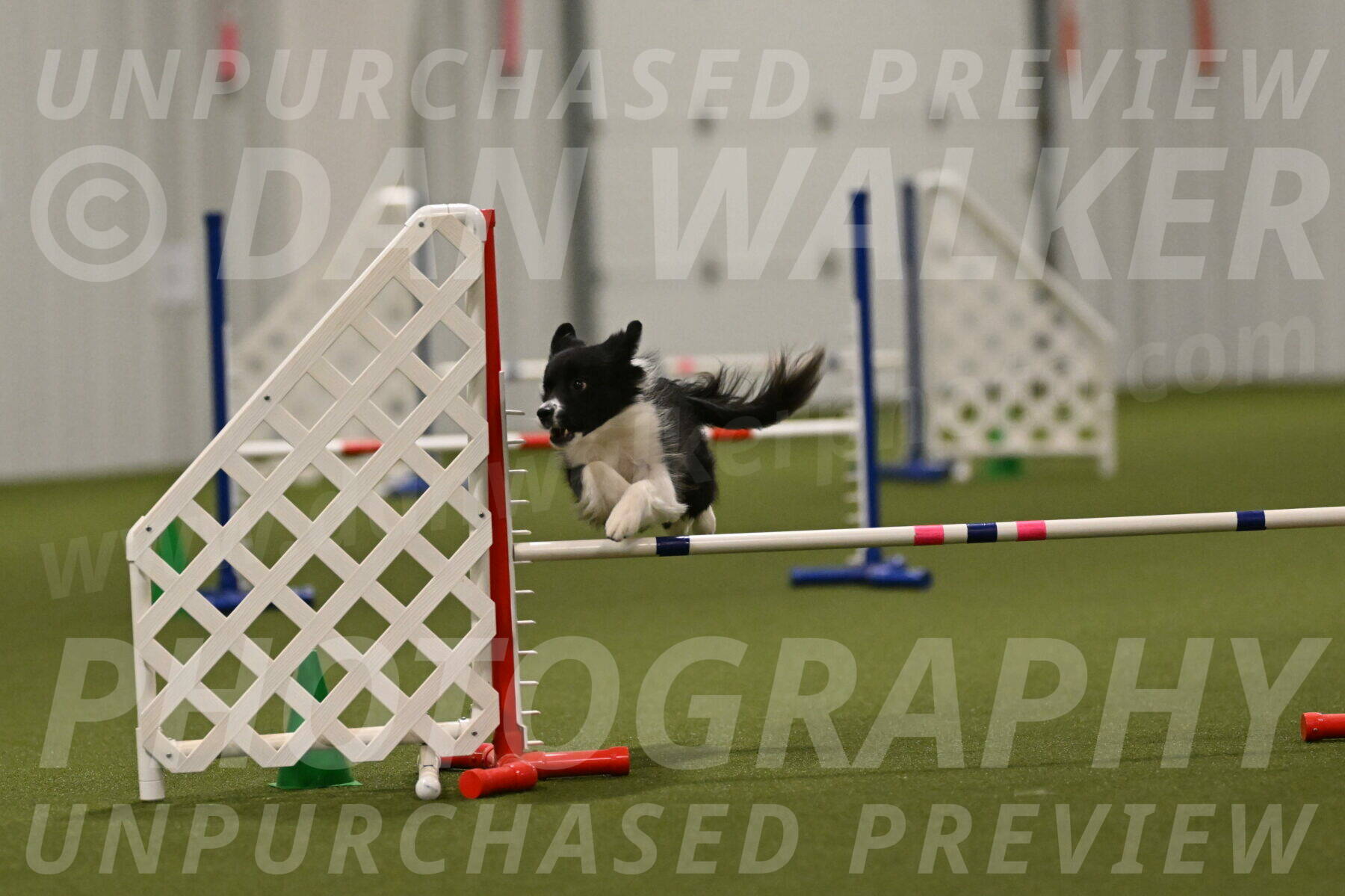 Esme-Samantha-Yanchik-01014